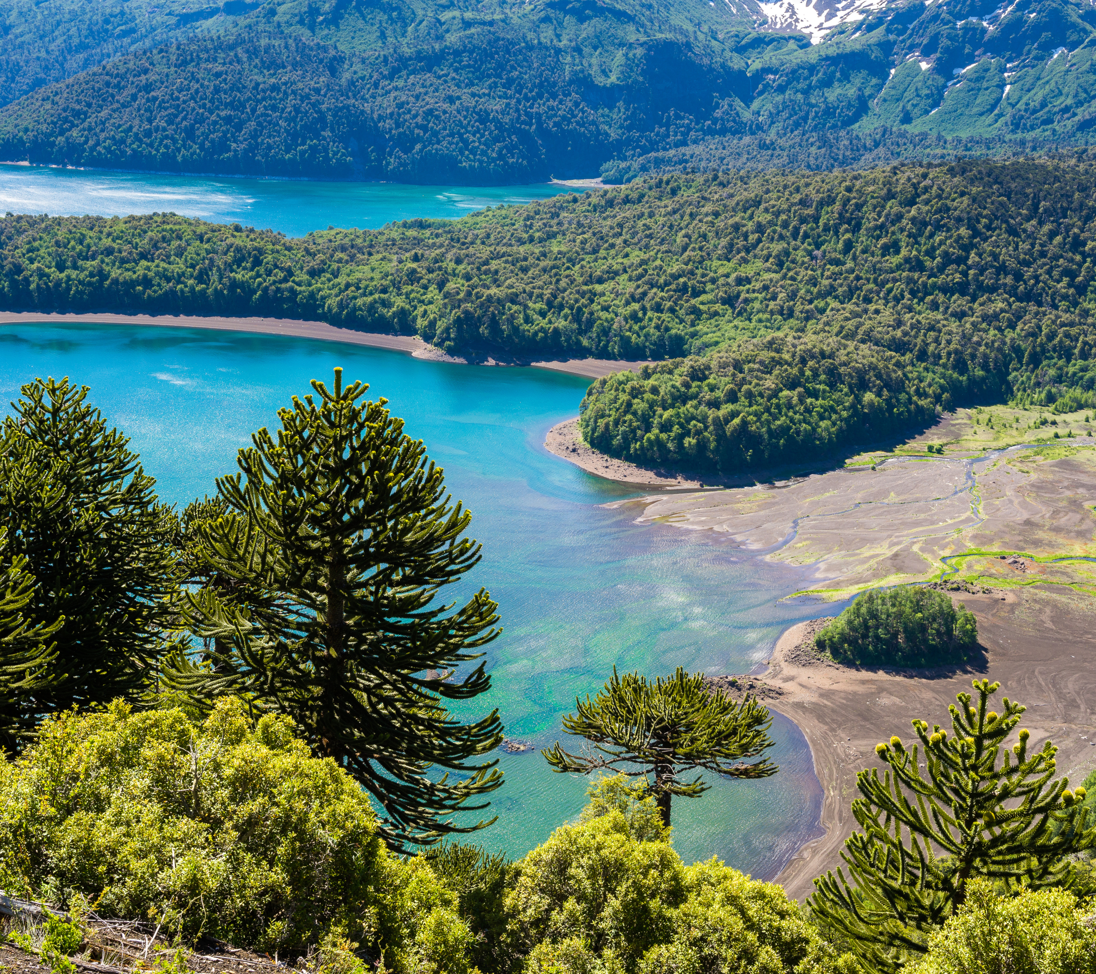 Descarga gratis la imagen Paisaje, Naturaleza, Lago, Bosque, Árbol, Tierra/naturaleza en el escritorio de tu PC