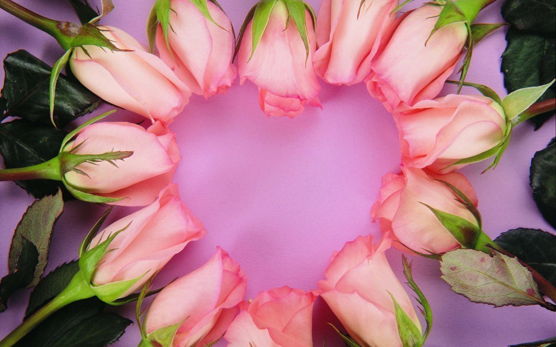 Free download wallpaper Flowers, Flower, Rose, Bud, Earth, Heart on your PC desktop