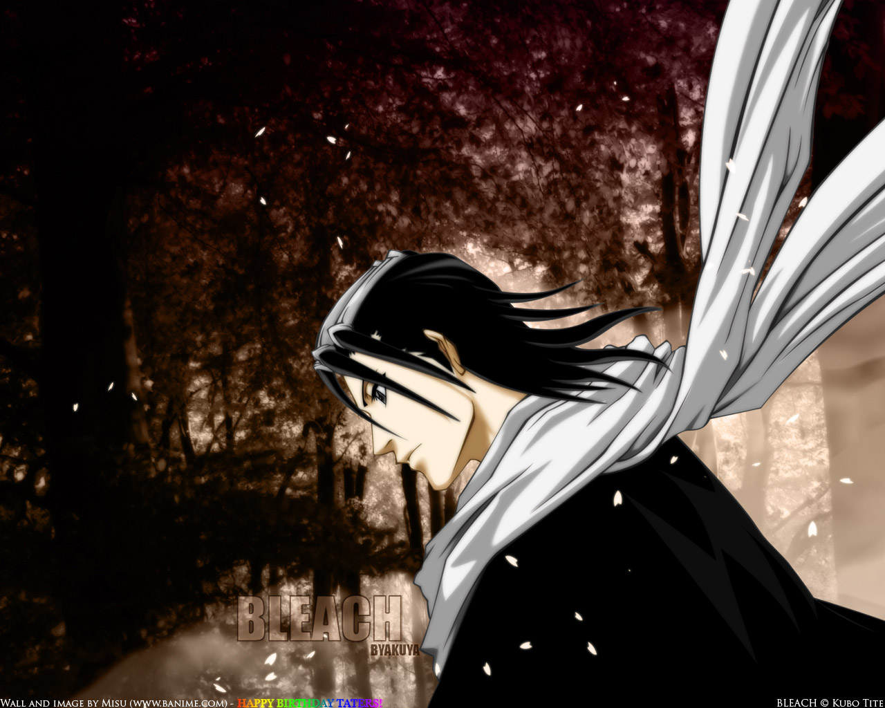 Free download wallpaper Anime, Bleach, Byakuya Kuchiki on your PC desktop