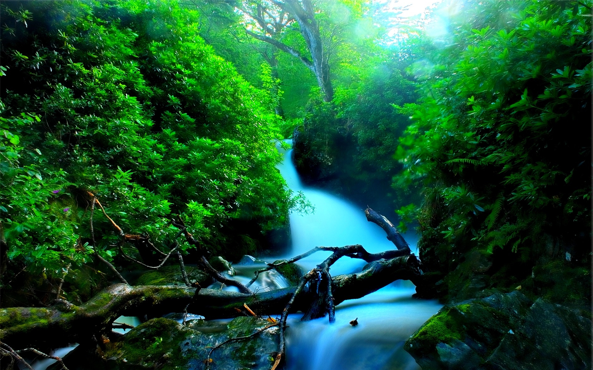 Free download wallpaper Waterfalls, Waterfall, Forest, Tree, Earth, Log on your PC desktop