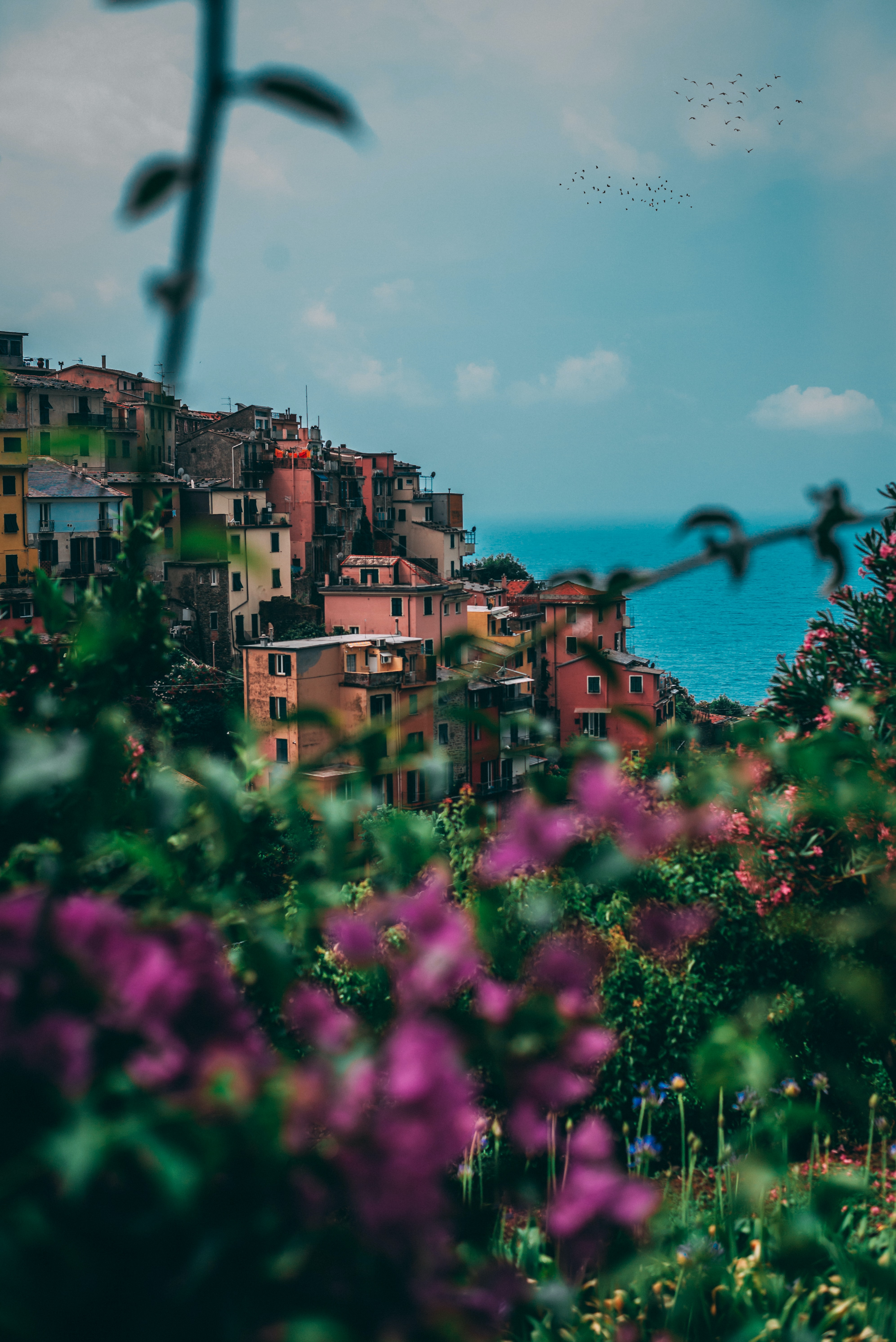 Free download wallpaper Cities, Flowers, Building, Sea, City, Italy on your PC desktop