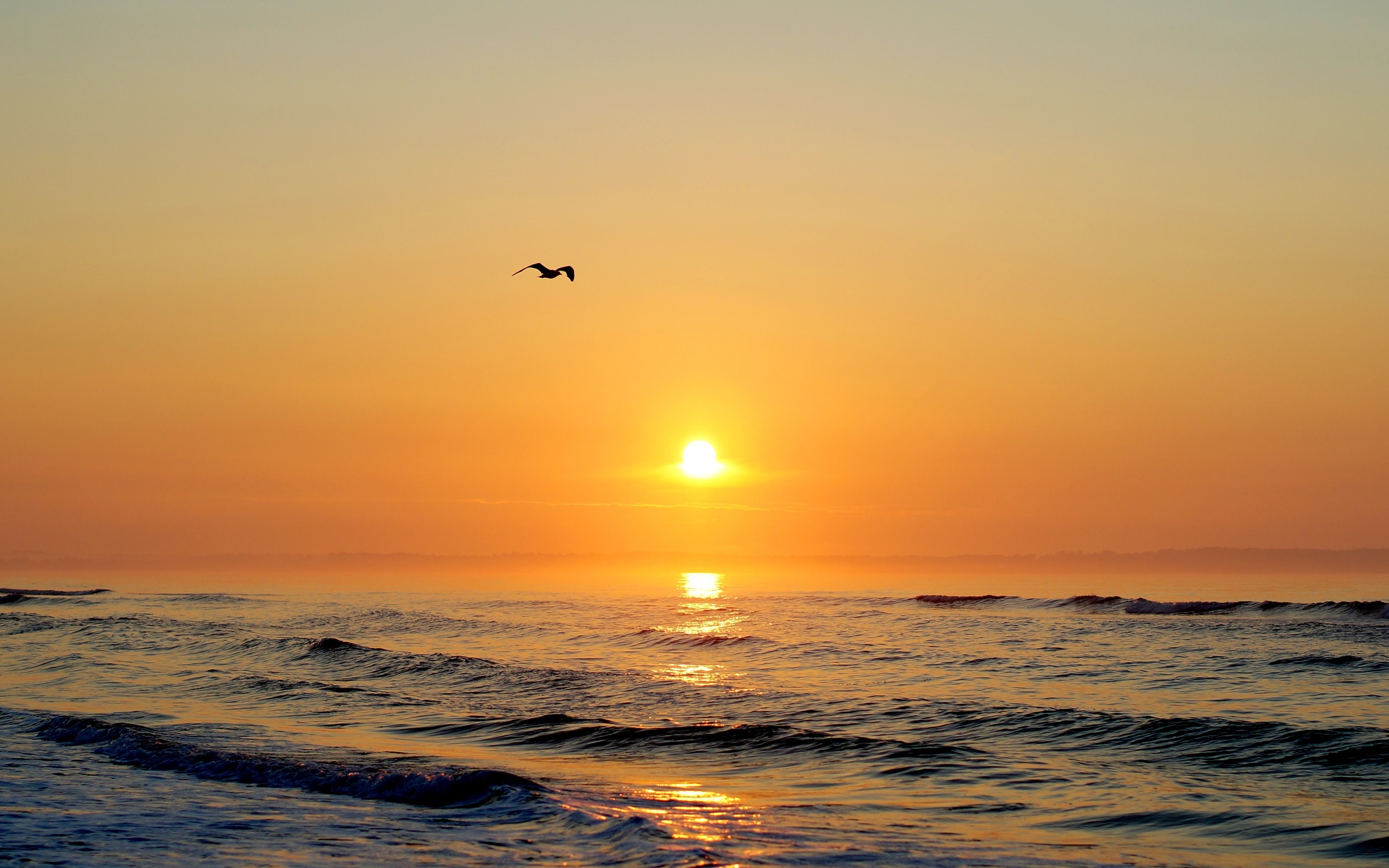 Laden Sie das Strand, Erde/natur-Bild kostenlos auf Ihren PC-Desktop herunter