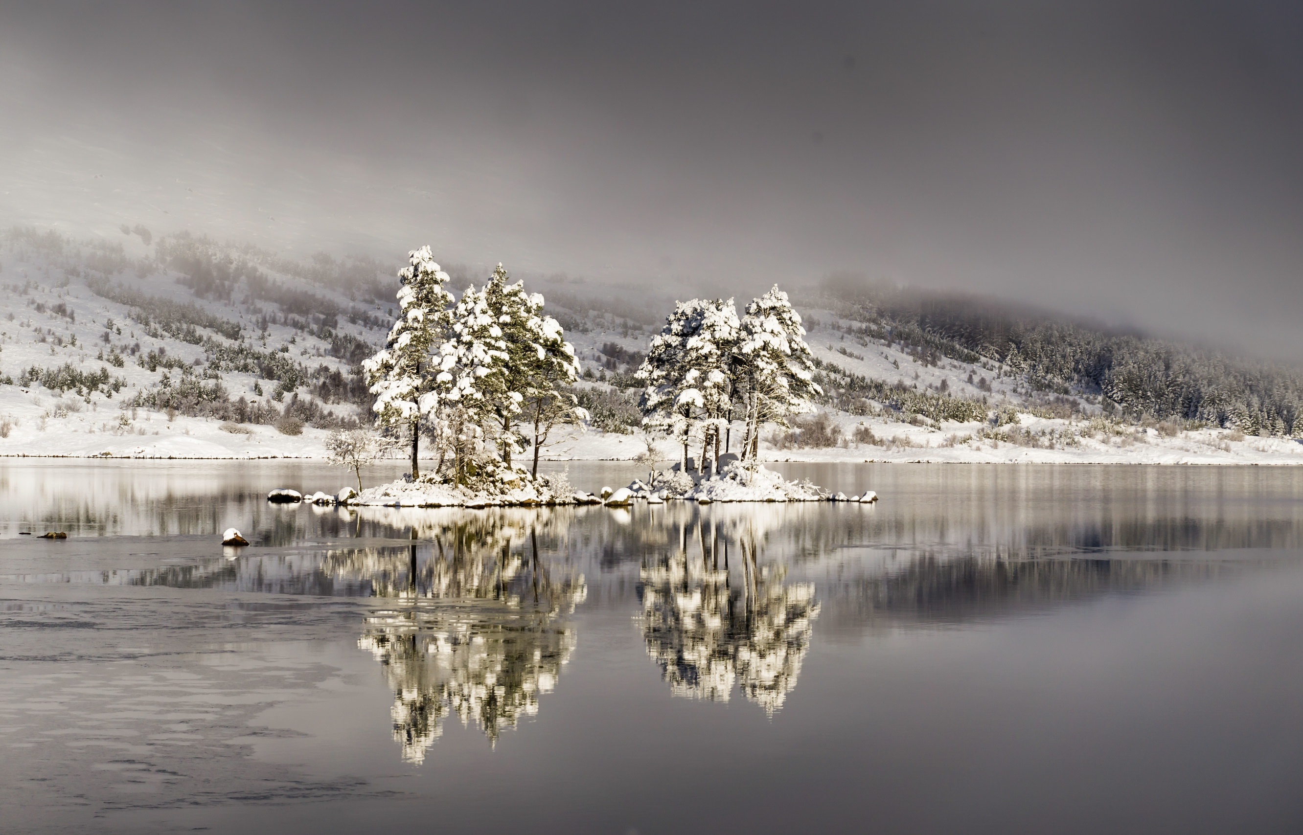 Descarga gratis la imagen Naturaleza, Nieve, Lago, Árbol, Niebla, Tierra/naturaleza, Reflejo en el escritorio de tu PC