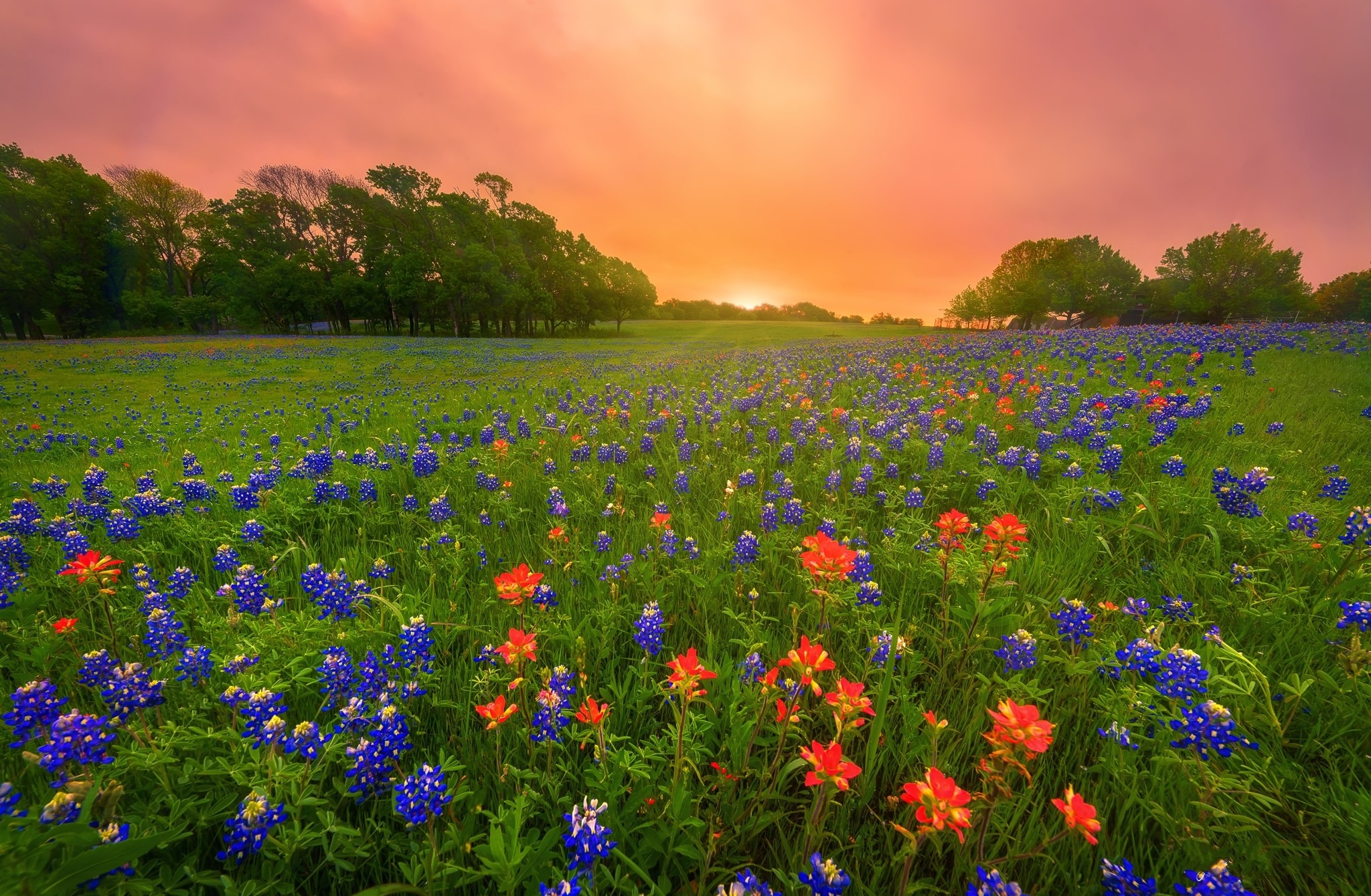 Laden Sie das Sonnenaufgang, Erde/natur-Bild kostenlos auf Ihren PC-Desktop herunter