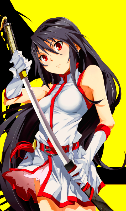 Handy-Wallpaper Animes, Akame (Akame Ga Kill!), Akame Ga Kill: Schwerter Der Assassinen kostenlos herunterladen.