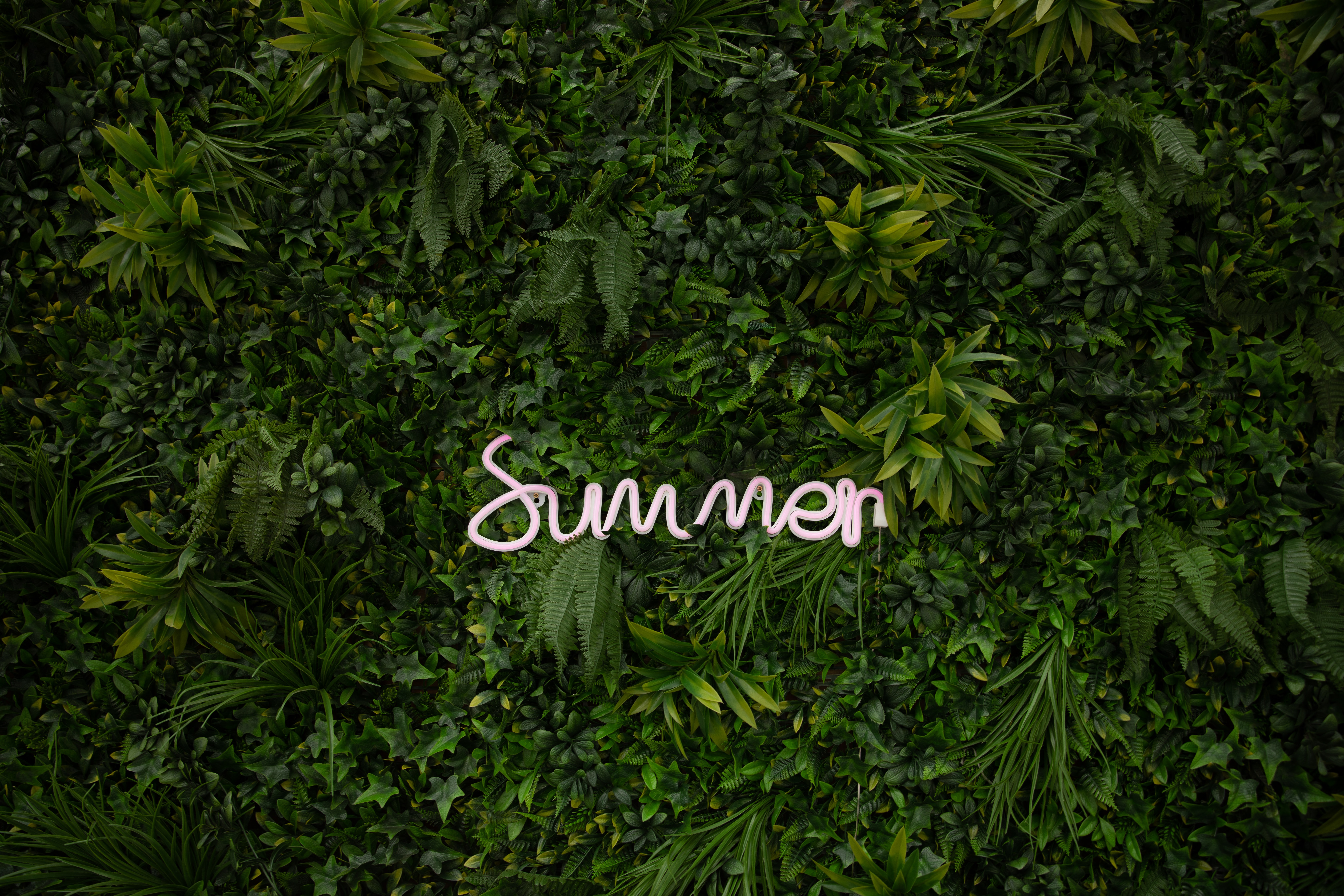 Free download wallpaper Summer, Vegetation, Greens, Words, Inscription, Plants on your PC desktop
