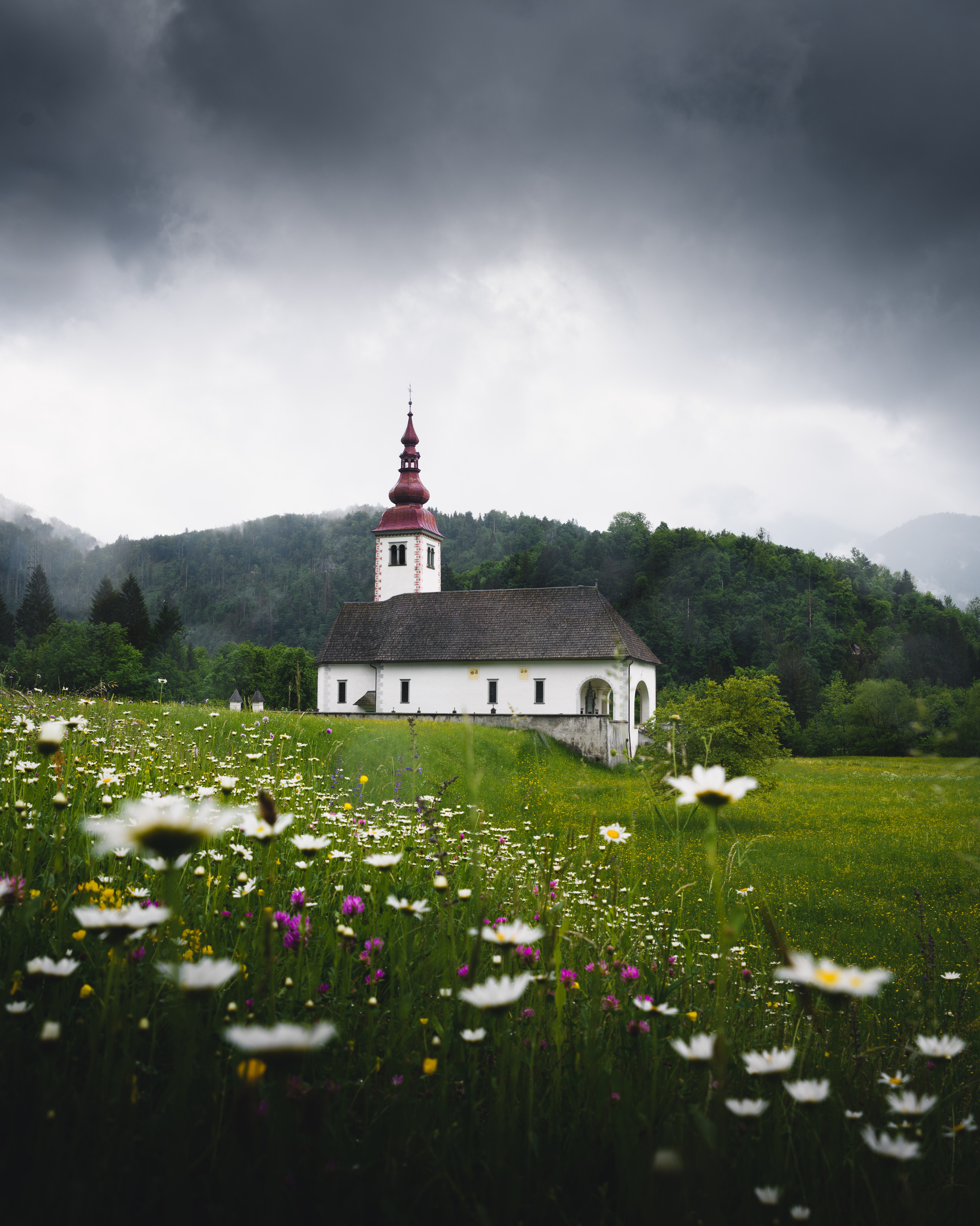 slovenia, nature, temple, flowers, grass, field HD wallpaper