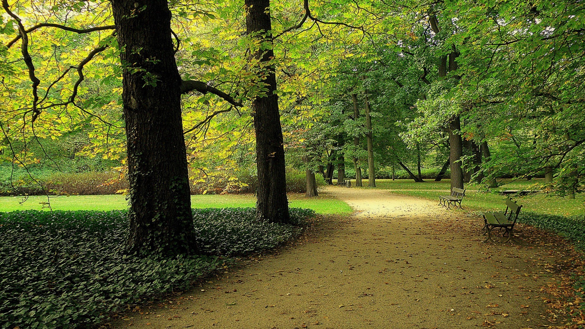 Download mobile wallpaper Park, Tree, Path, Bench, Dirt, Photography, Greenery for free.