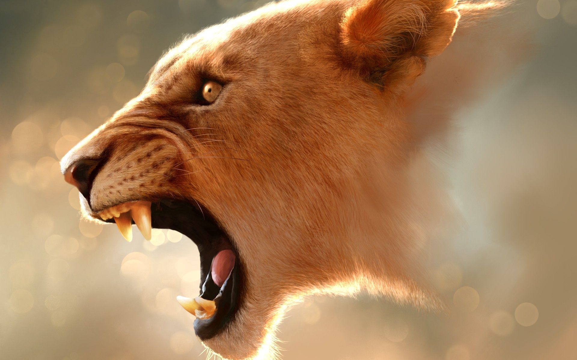 animals, glare, grin, muzzle, lion, profile Ultra HD, Free 4K, 32K