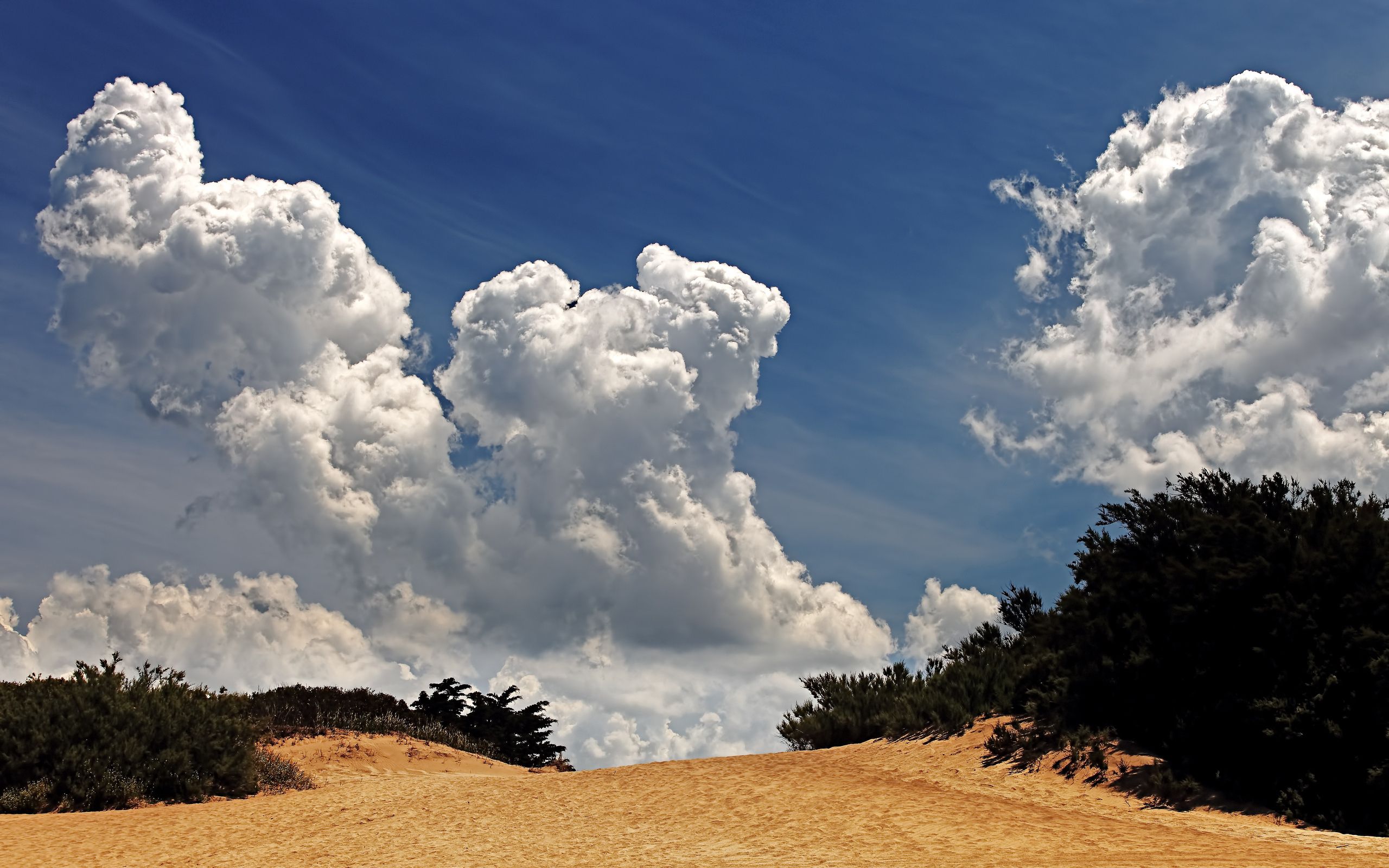 Download mobile wallpaper Nature, Clouds, Vegetation, Sky, Desert for free.