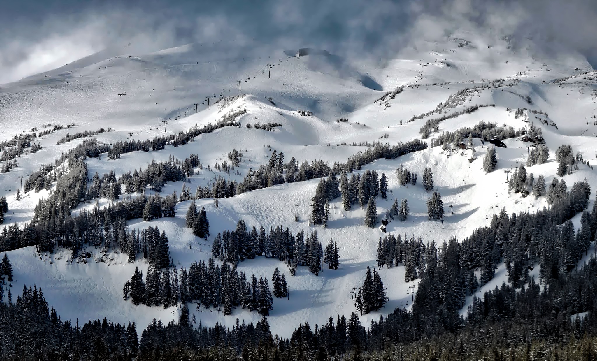 Скачать картинку Снег, Гора, Дерево, Орегон, Земля/природа в телефон бесплатно.