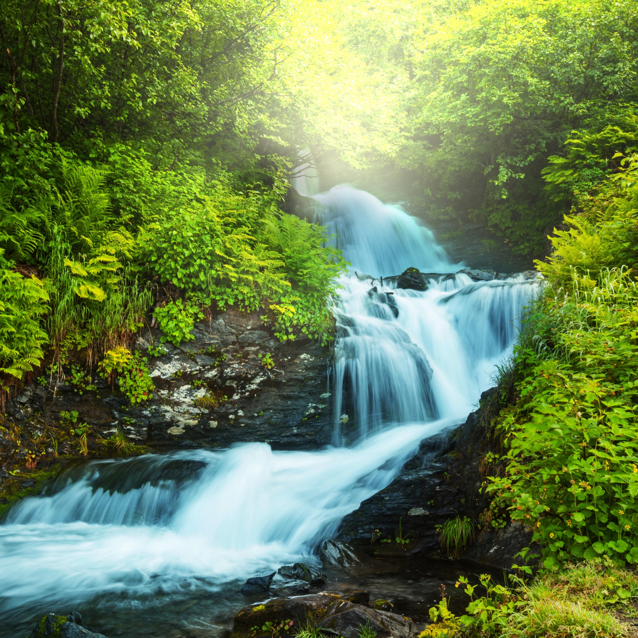 Download mobile wallpaper Waterfalls, Waterfall, Tree, Earth for free.