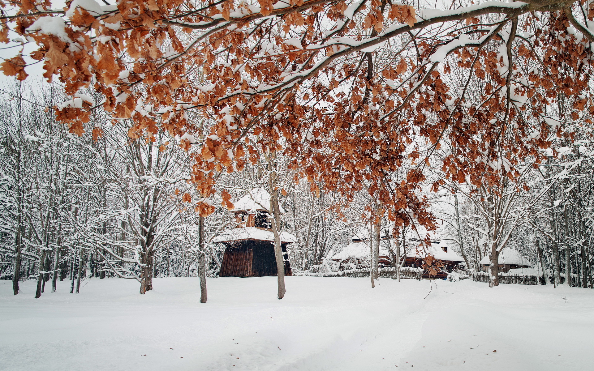 Téléchargez gratuitement l'image Hiver, Photographie sur le bureau de votre PC