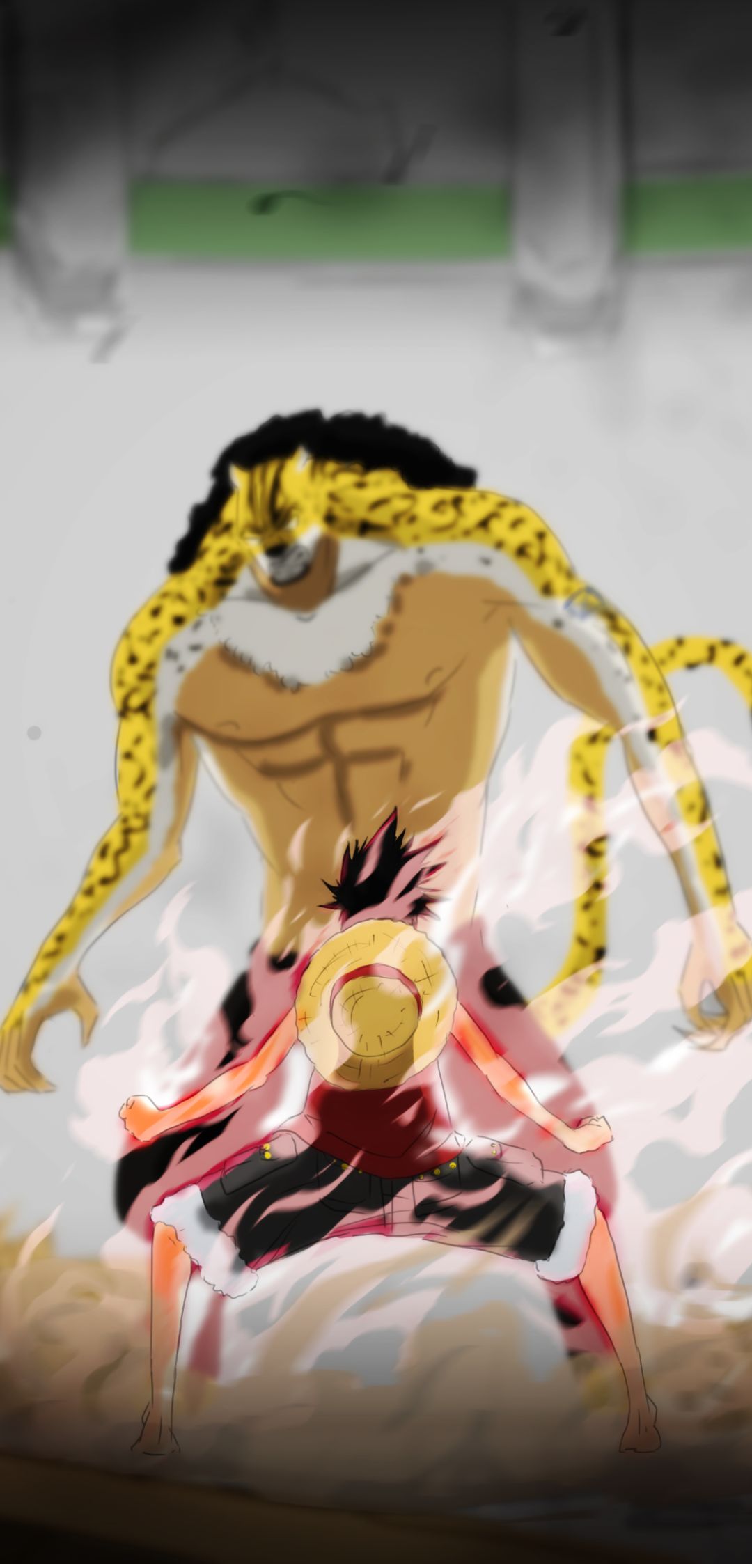 anime, one piece, monkey d luffy, rob lucci HD wallpaper