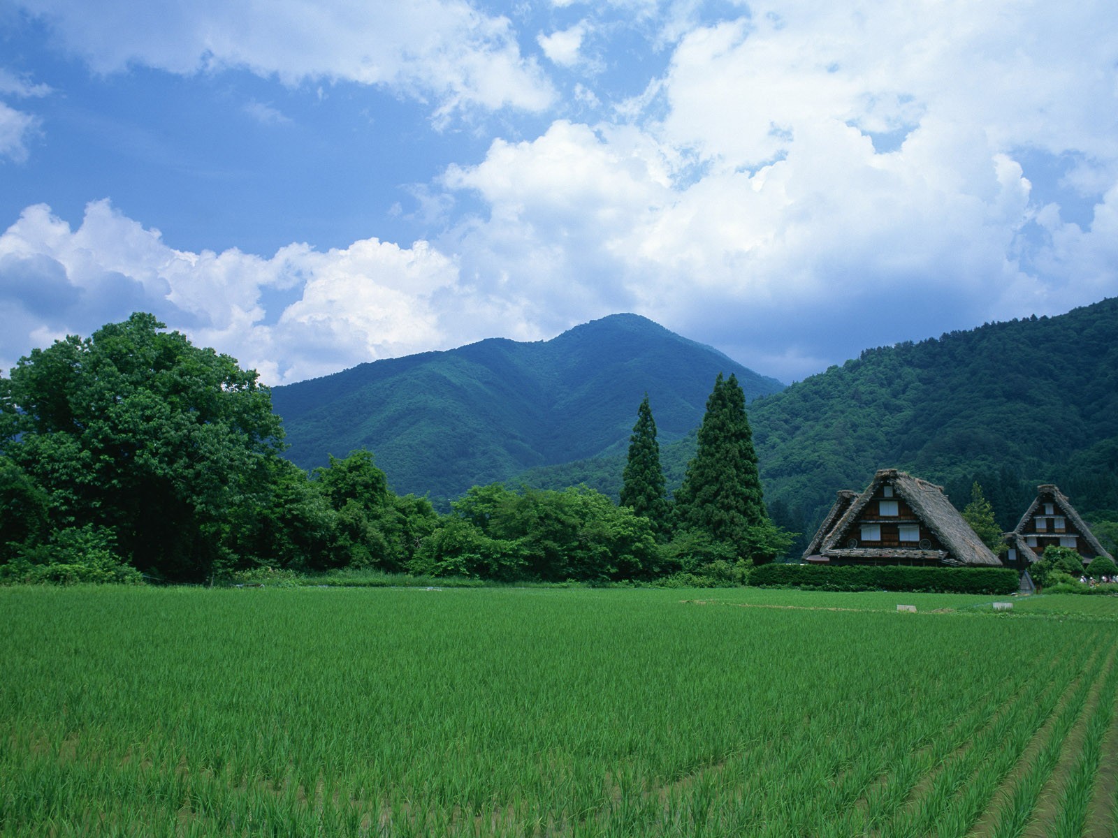 お使いの携帯電話の1440144スクリーンセーバーと壁紙風景。 の写真を無料でダウンロード