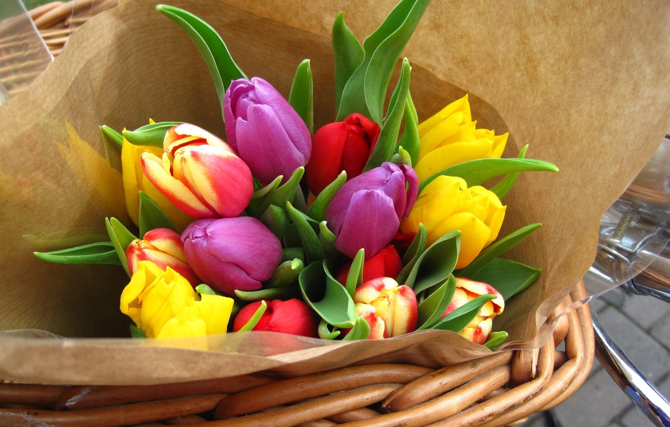 bouquet, tulips, flowers, bright, paper