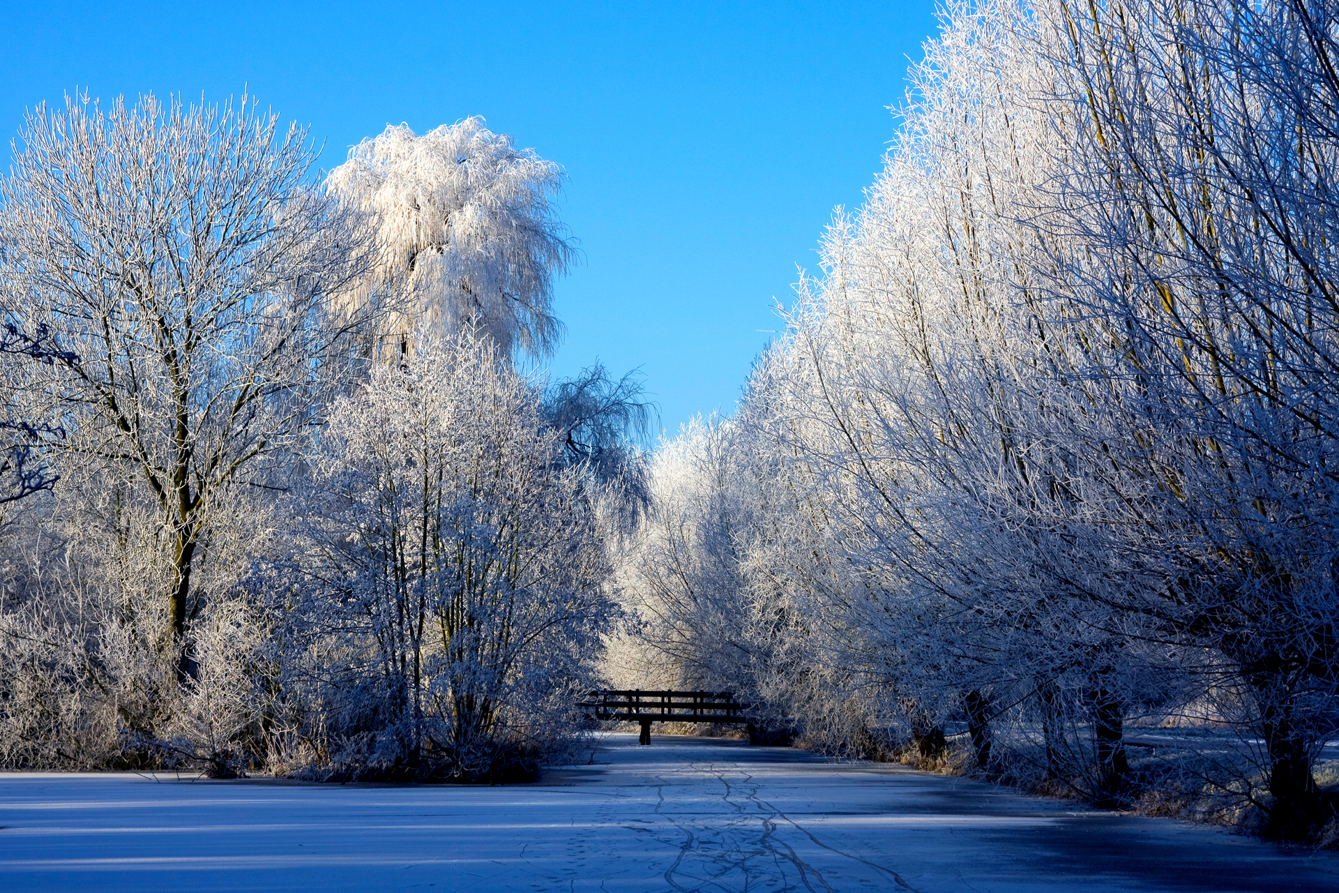 Baixe gratuitamente a imagem Inverno, Fotografia na área de trabalho do seu PC