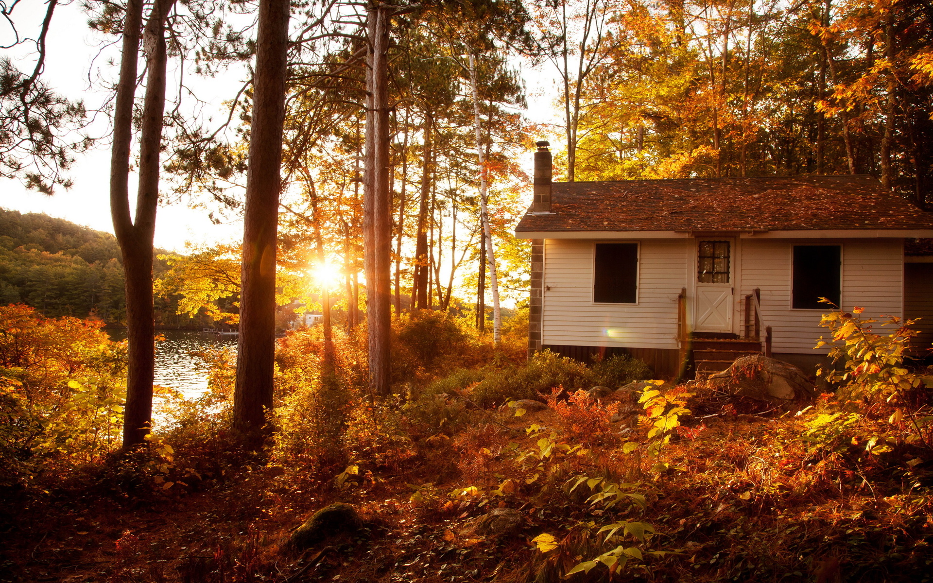 Laden Sie das Natur, Herbst, Blatt, Fluss, Strom, Fotografie, Jahreszeit-Bild kostenlos auf Ihren PC-Desktop herunter