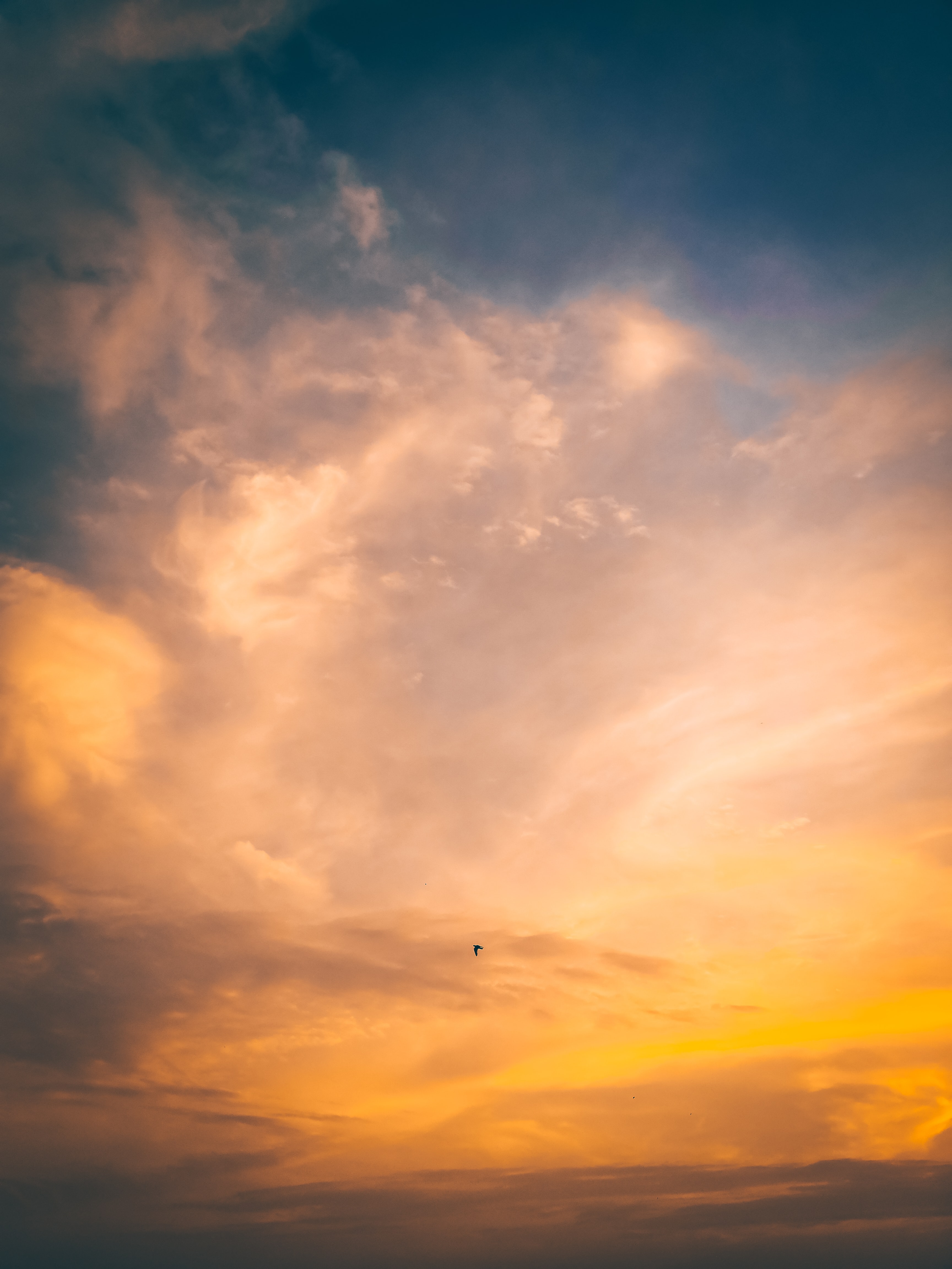 Download mobile wallpaper Sunset, Sky, Flight, Bird, Nature for free.