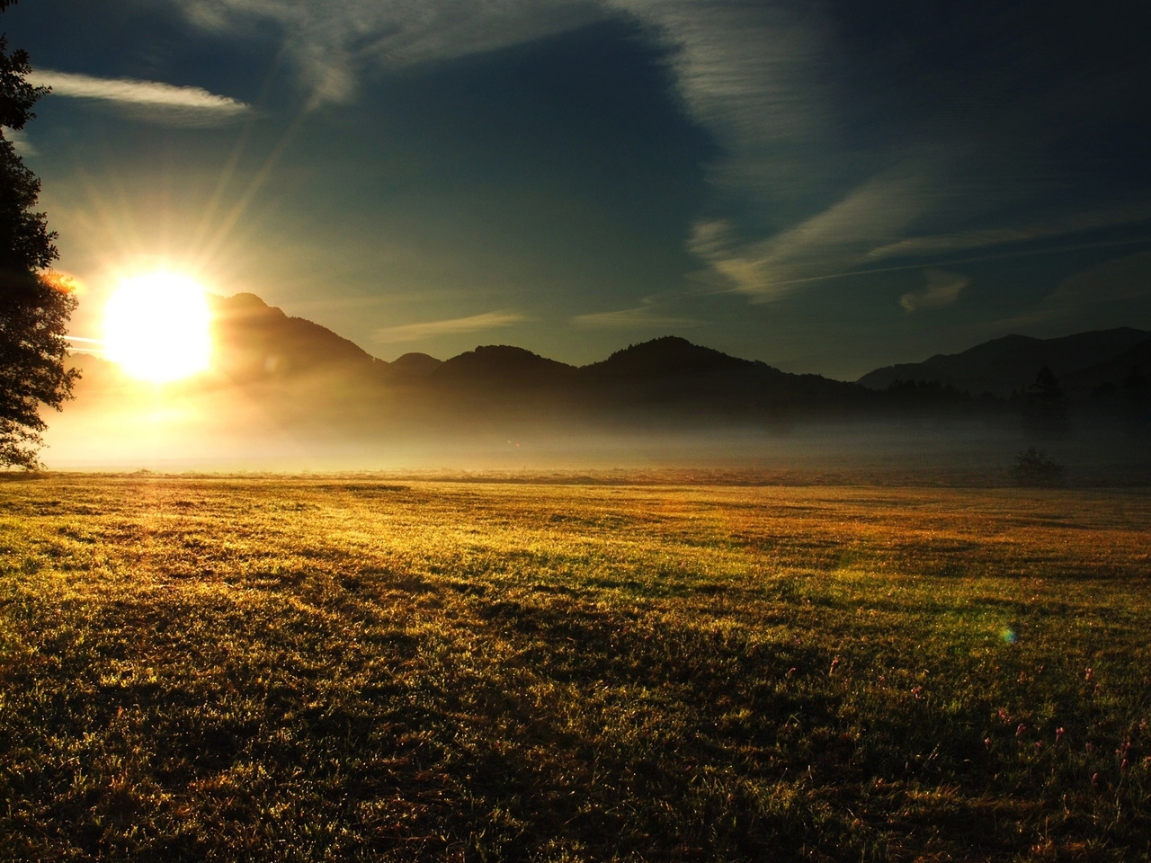 dawn, landscape, nature, fields for android