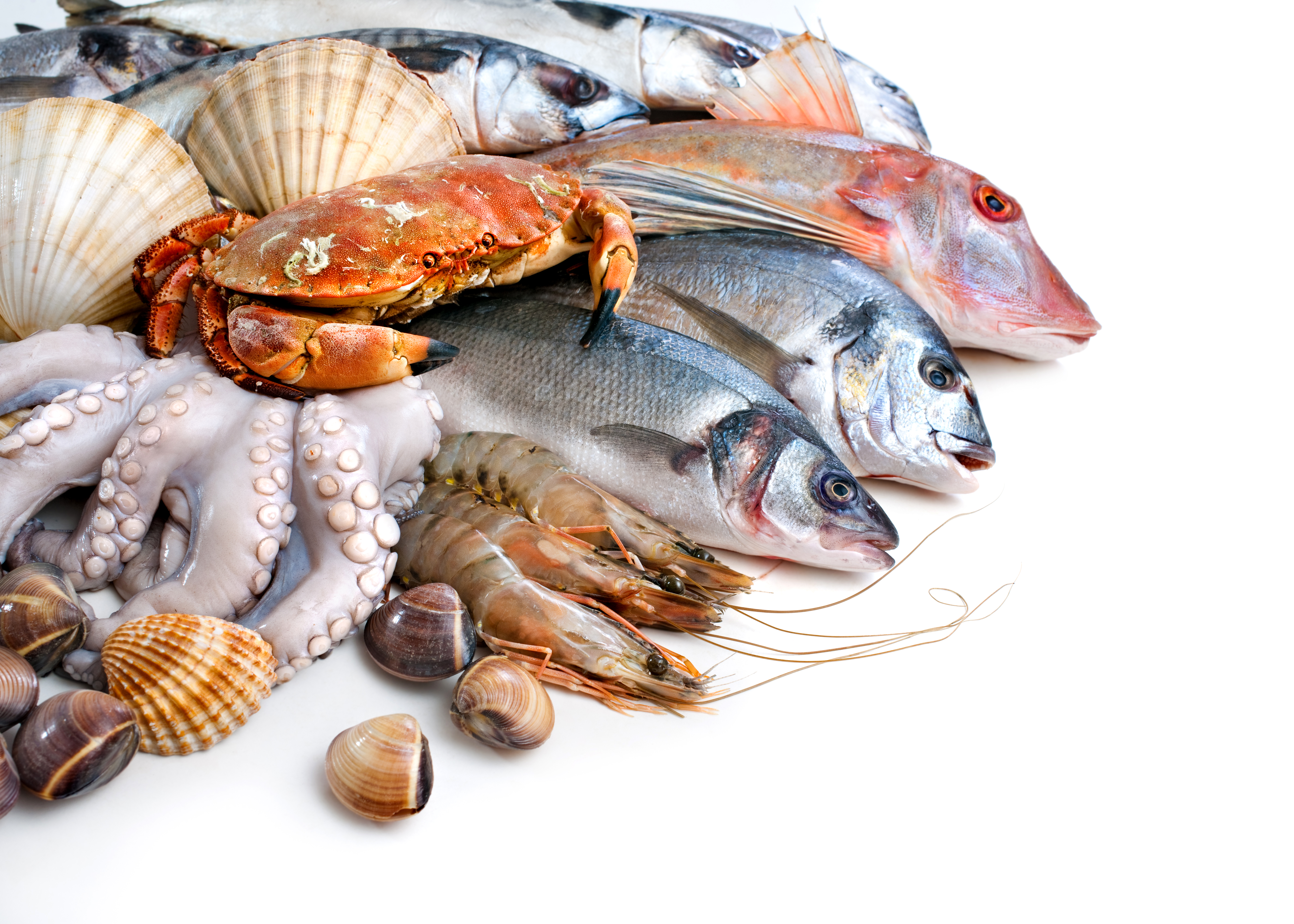 Handy-Wallpaper Fisch, Krabbe, Meeresfrüchte, Nahrungsmittel kostenlos herunterladen.