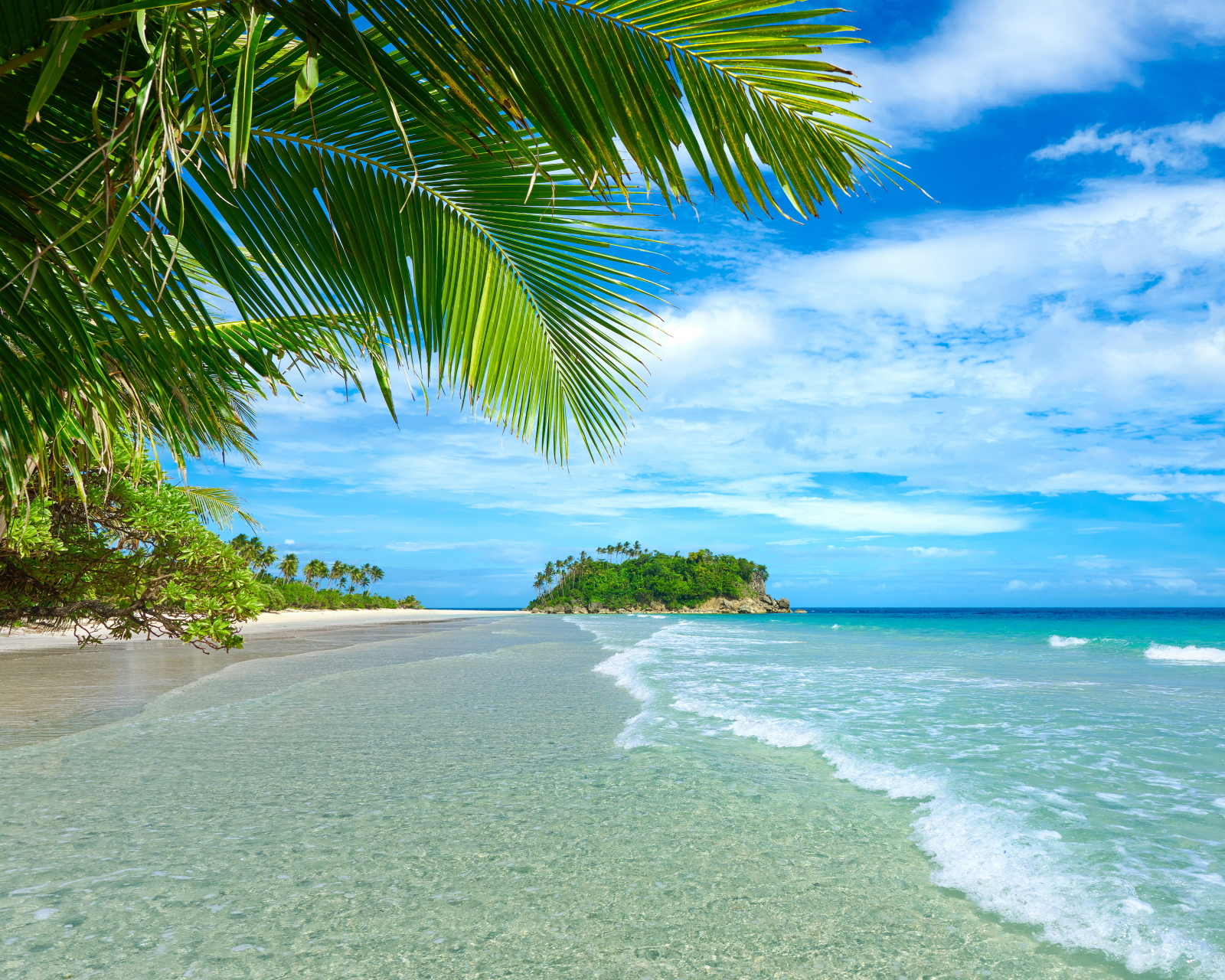 Free download wallpaper Sea, Beach, Horizon, Ocean, Earth, Tropical, Palm Tree on your PC desktop