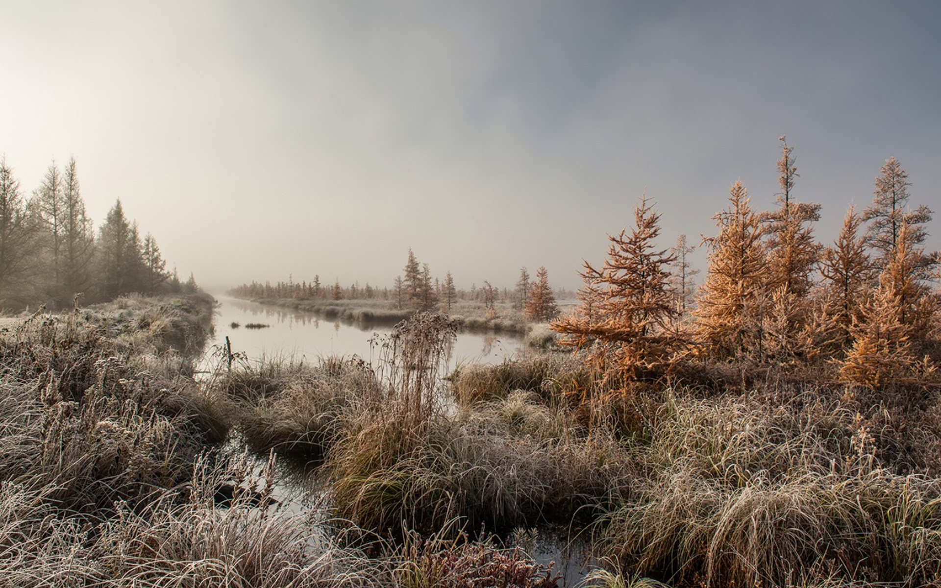 Baixe gratuitamente a imagem Inverno, Terra/natureza na área de trabalho do seu PC