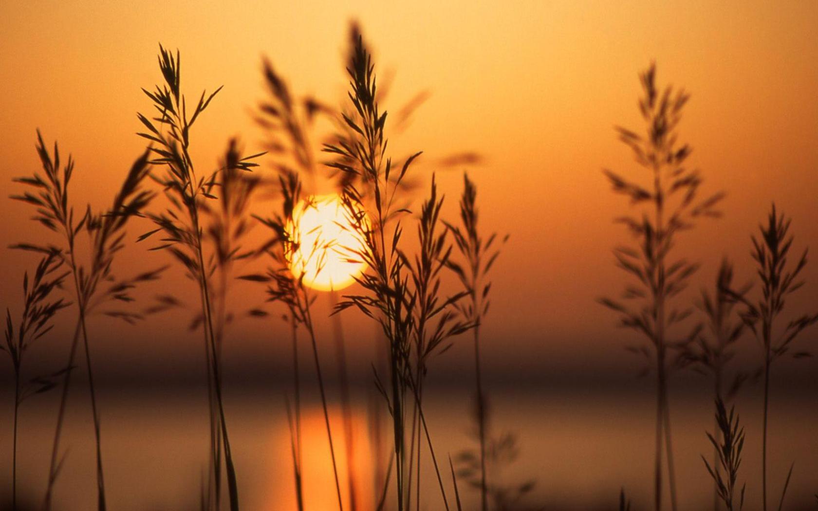 Téléchargez gratuitement l'image Coucher De Soleil, Terre/nature sur le bureau de votre PC