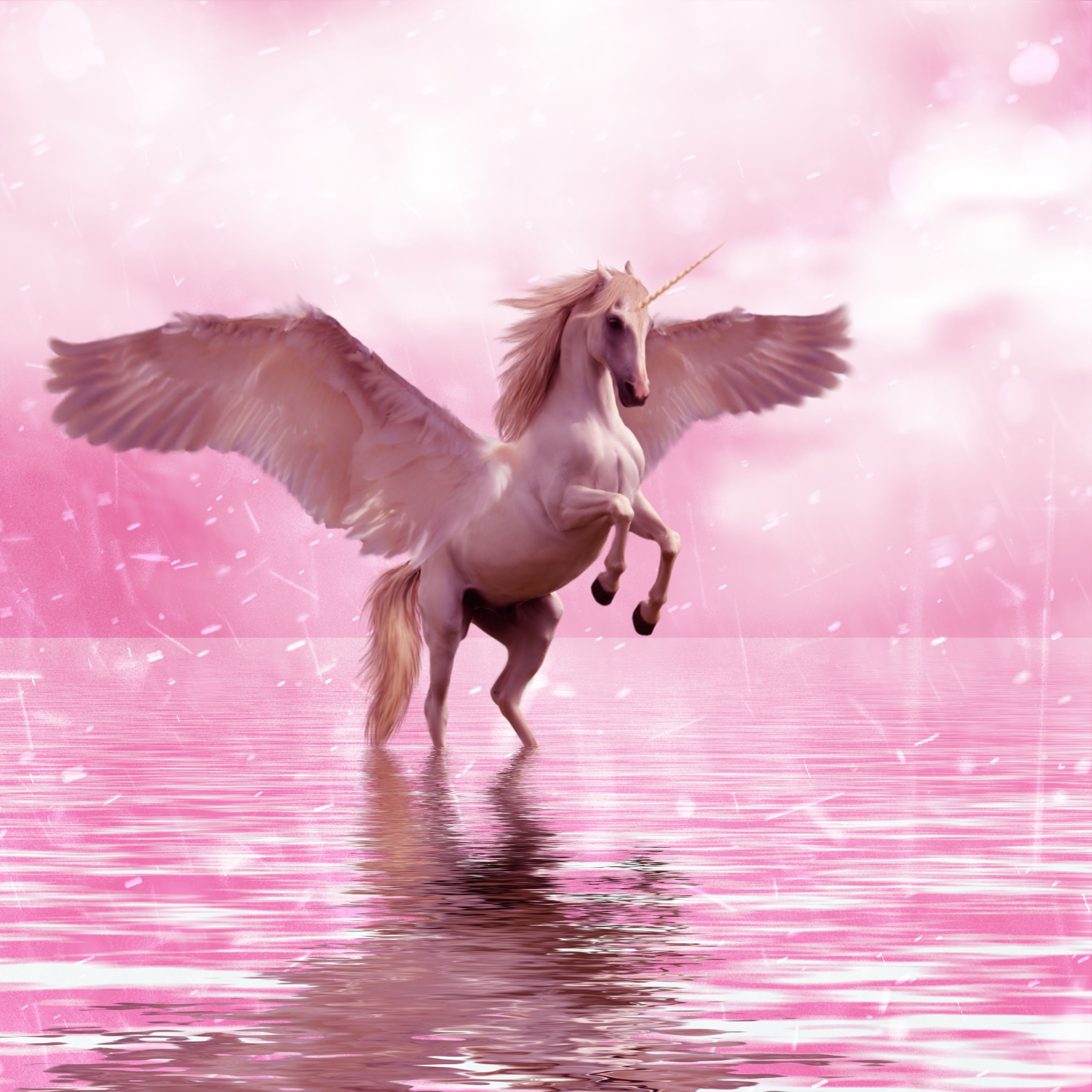 fantasy, wings, unicorn, horse