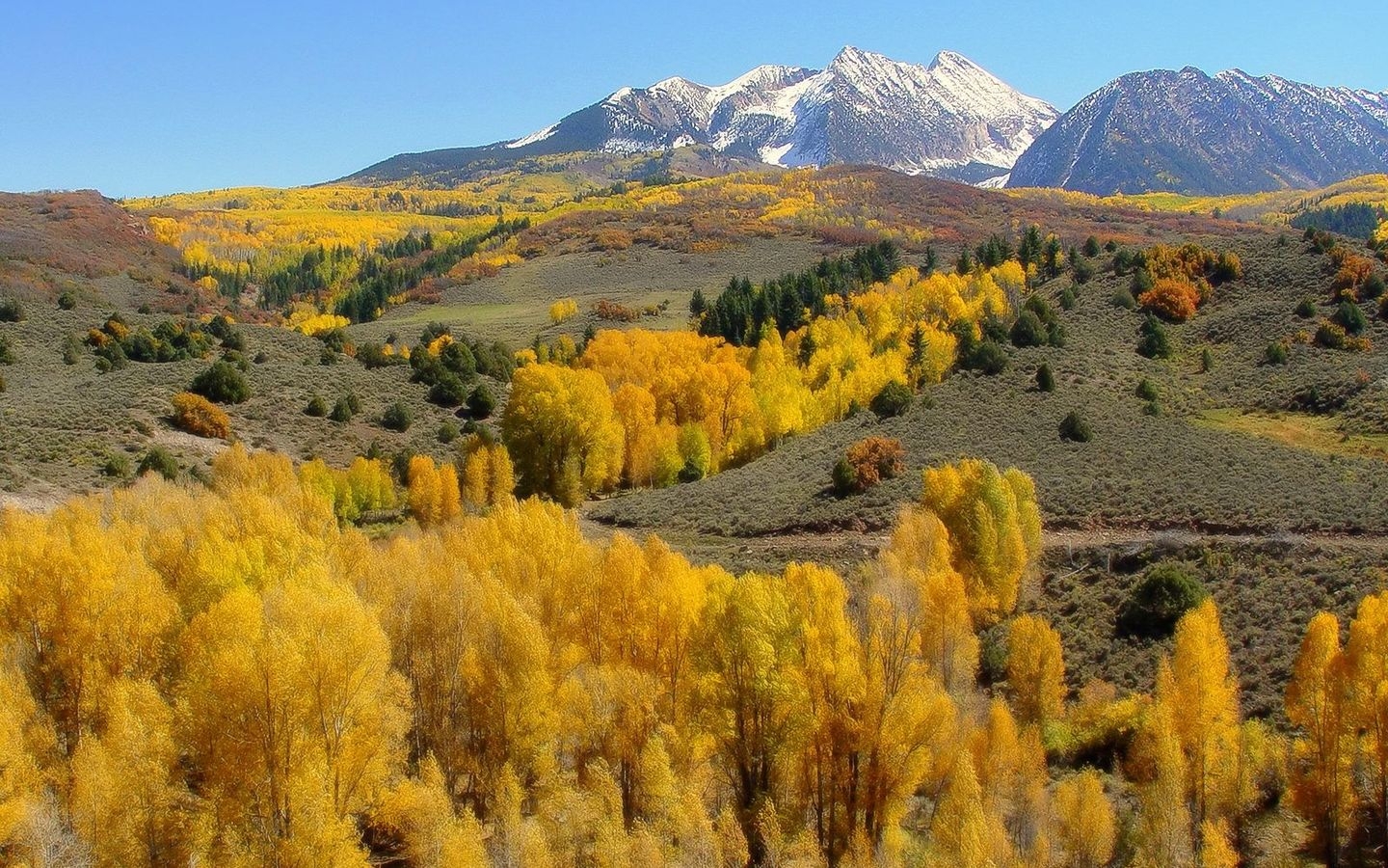 Laden Sie das Landschaft, Erde/natur-Bild kostenlos auf Ihren PC-Desktop herunter