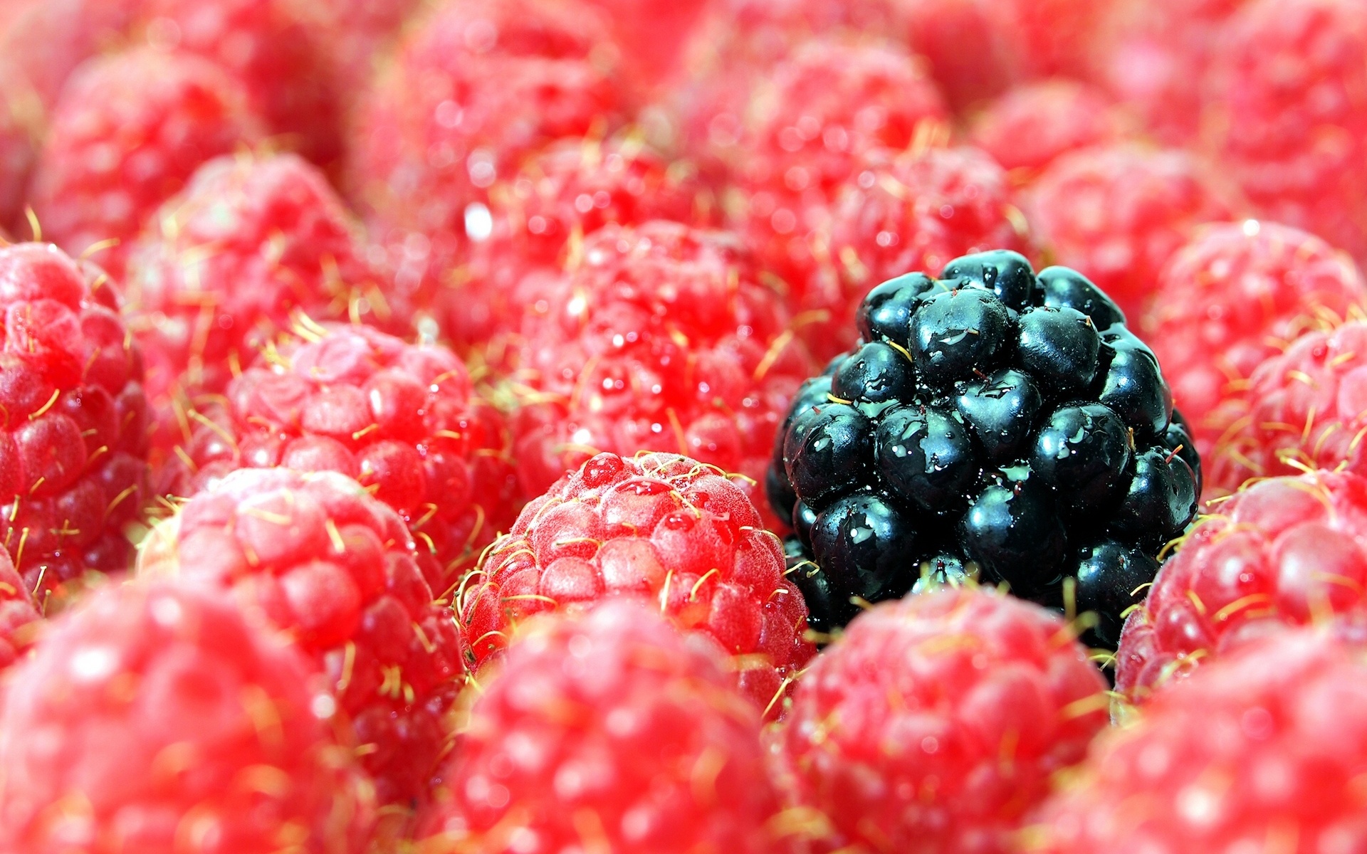 Download mobile wallpaper Food, Berry for free.