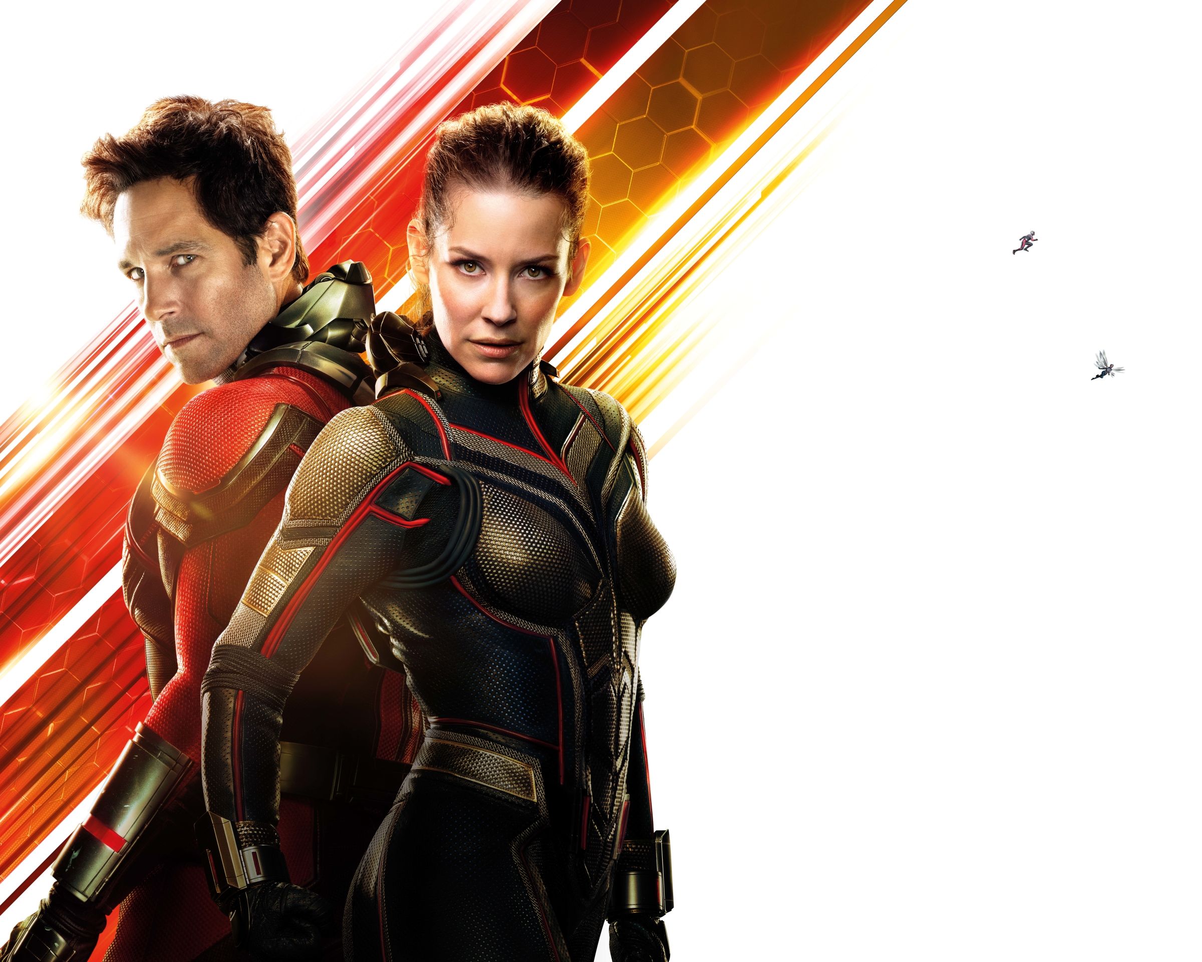 Free download wallpaper Movie, Superhero, Wasp (Marvel Comics), Evangeline Lilly, Ant Man, Paul Rudd, Scott Lang, Hope Van Dyne, Ant Man And The Wasp on your PC desktop
