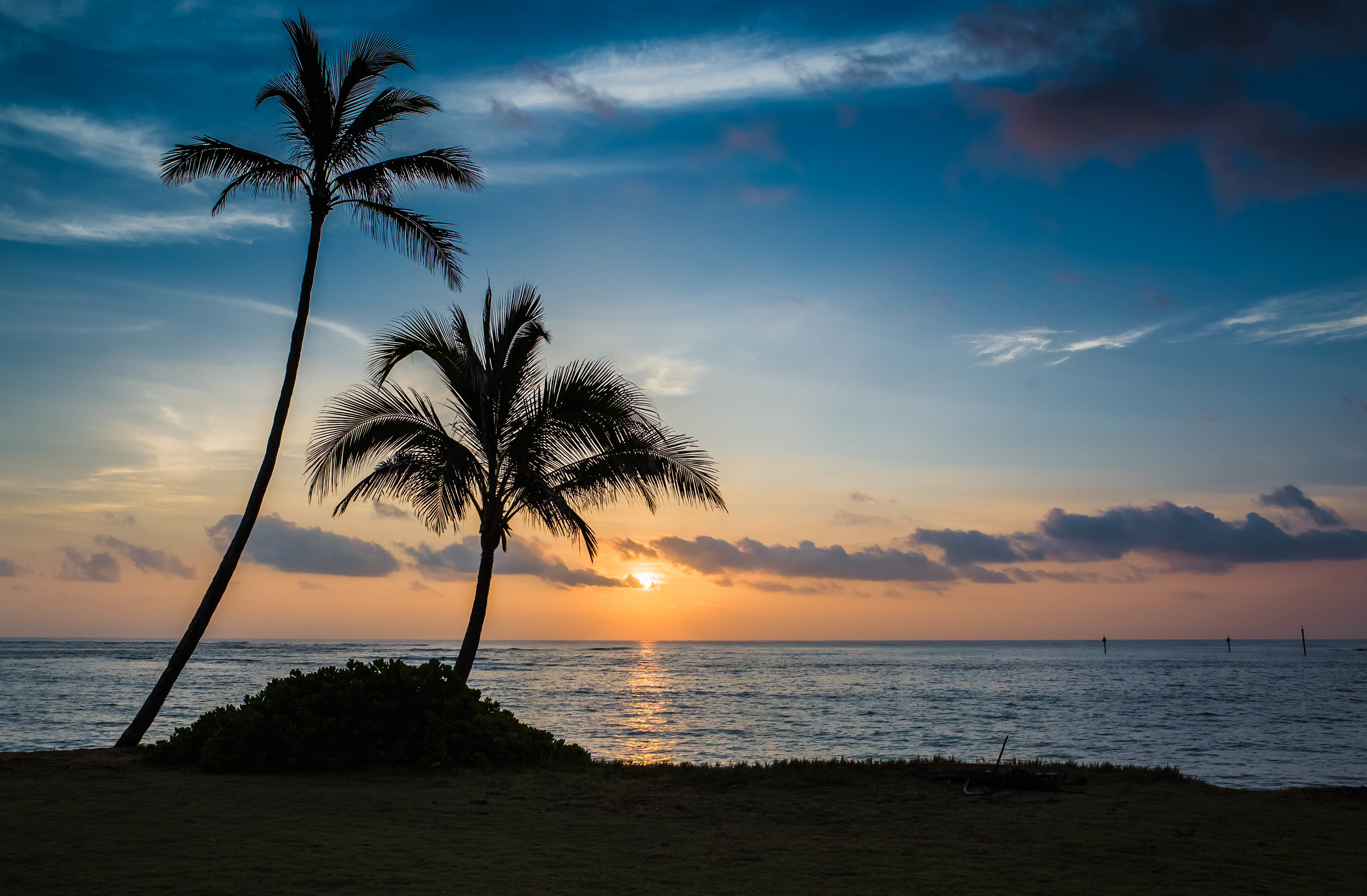 Laden Sie das Natur, Sunset, Sea, Palms, Strand-Bild kostenlos auf Ihren PC-Desktop herunter