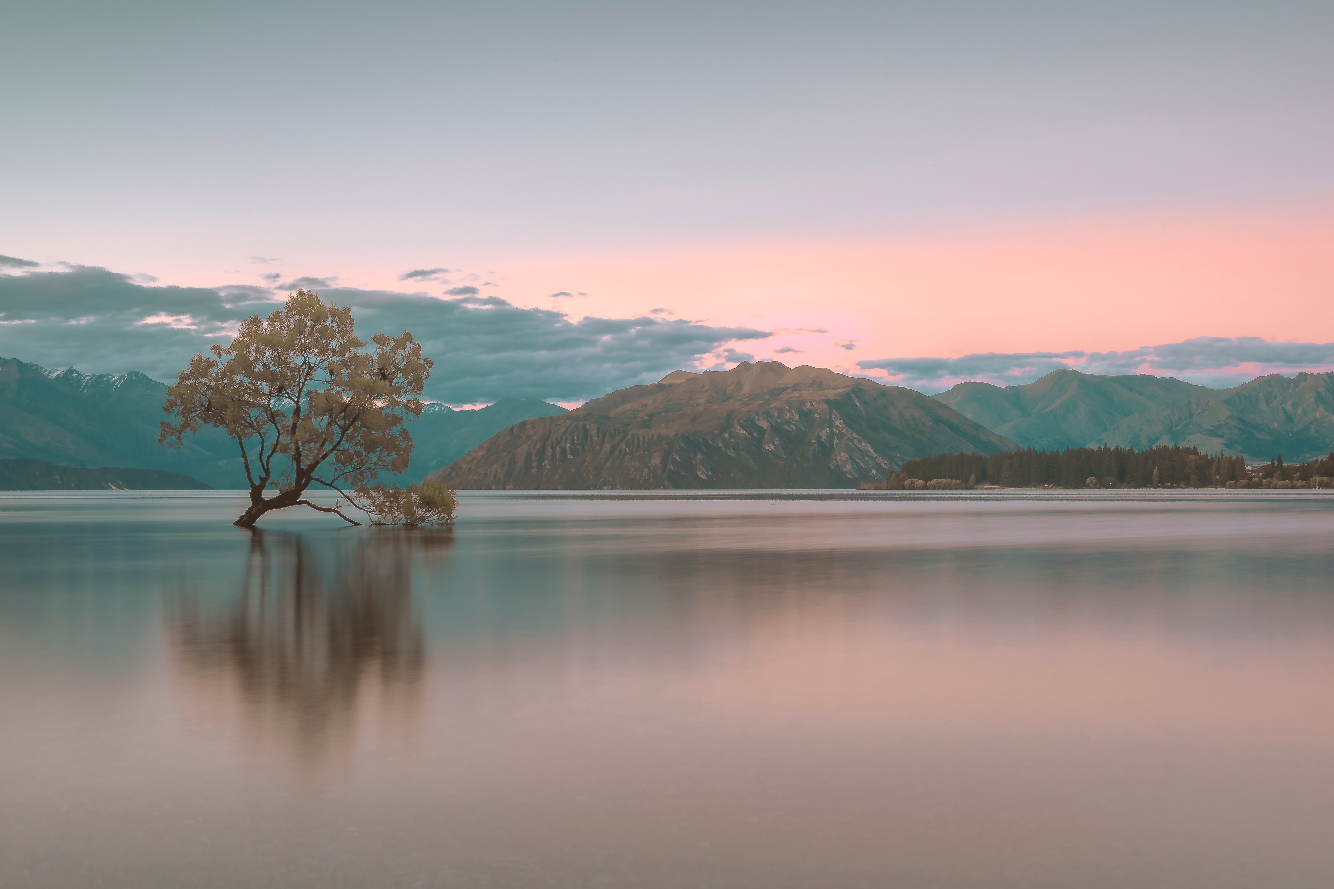 Скачать картинку Новая Зеландия, Земля/природа, Озеро Ванака в телефон бесплатно.