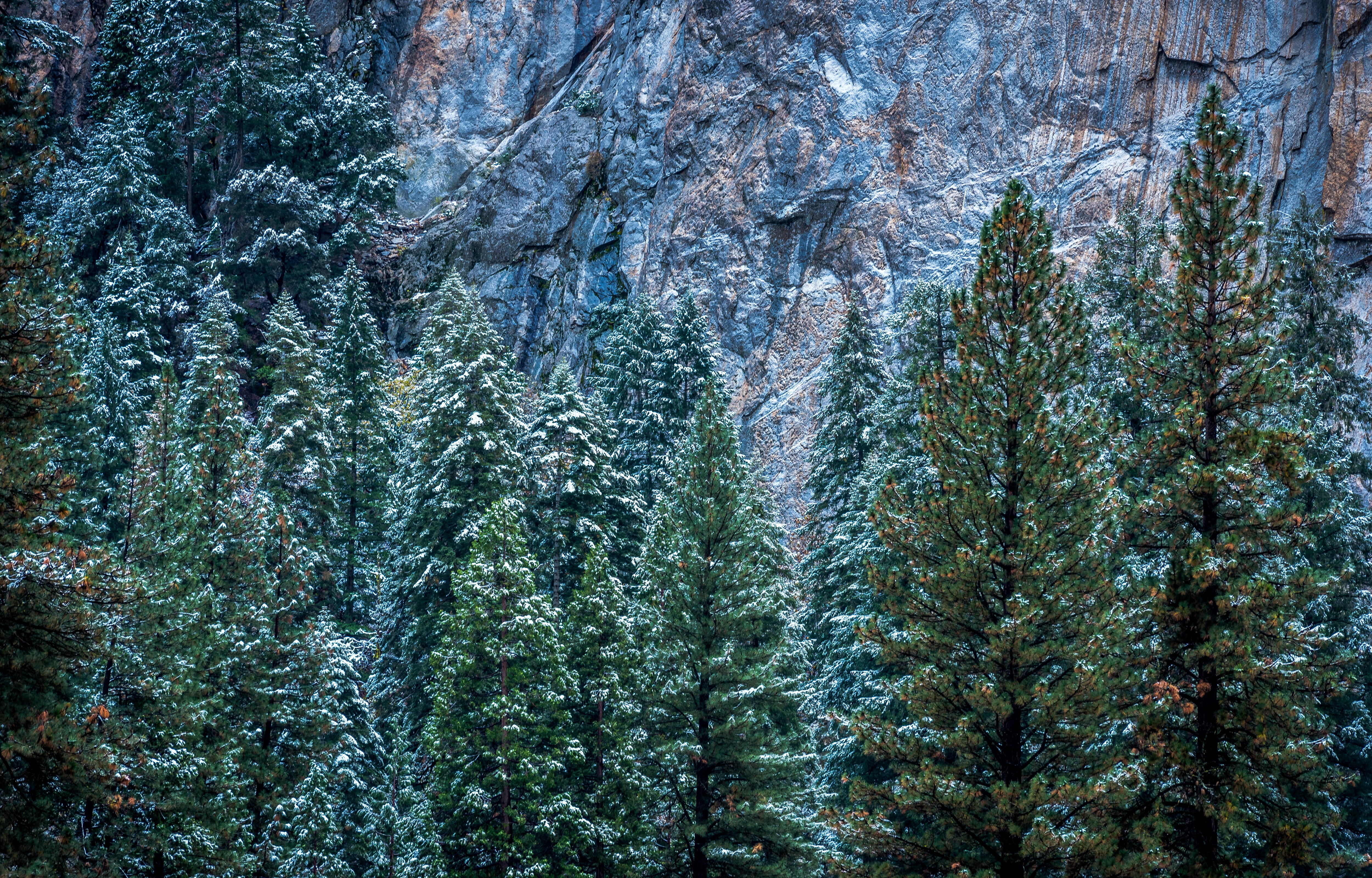 Télécharger des fonds d'écran Yosemite HD