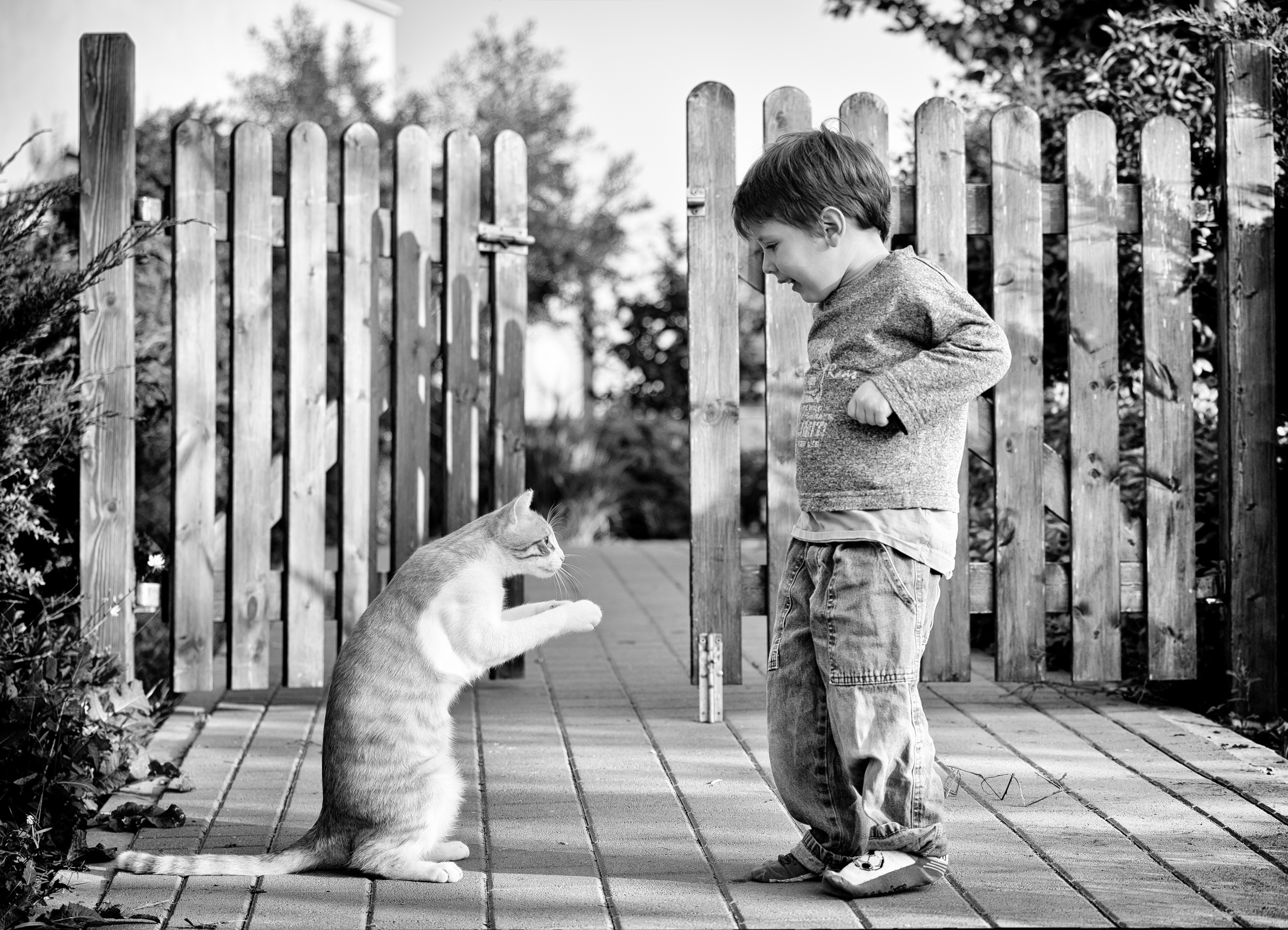 Download mobile wallpaper Cat, Child, Photography, Black & White for free.