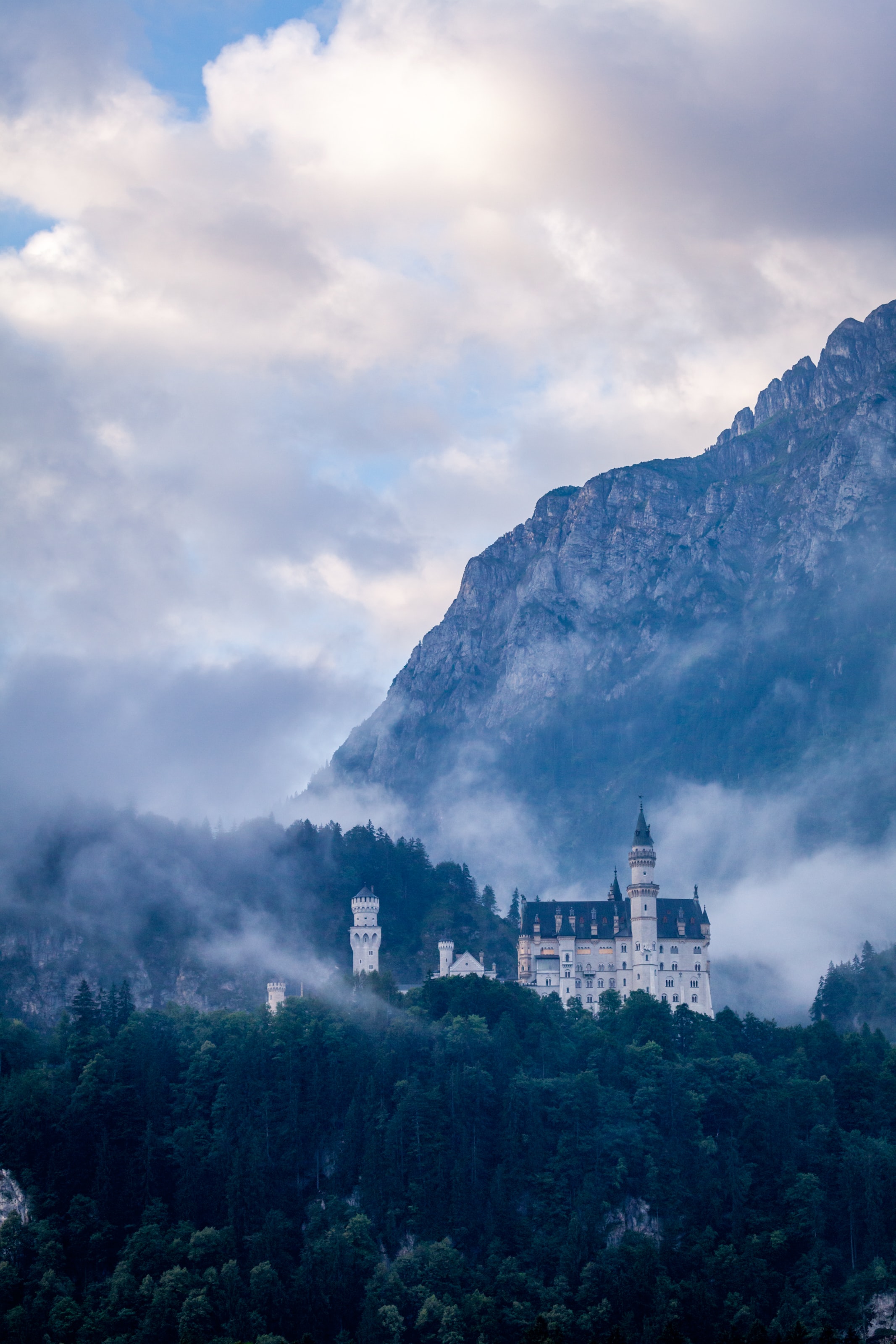 Скачать картинку Туман, Лес, Замок, Германия, Природа в телефон бесплатно.