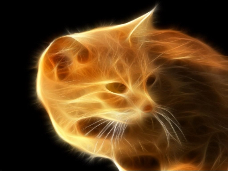 Descarga gratuita de fondo de pantalla para móvil de Animales, Gatos, Fantasía.