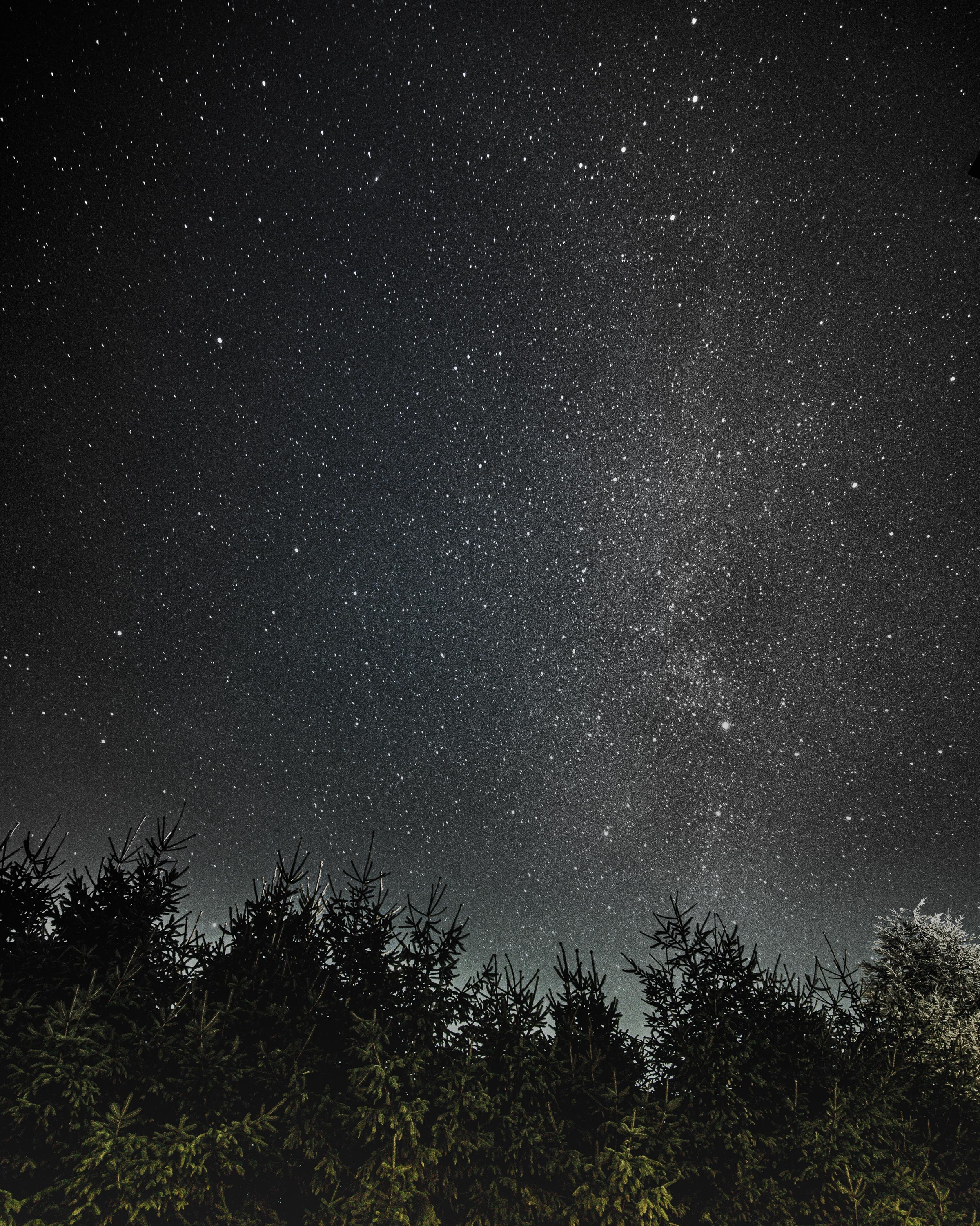 Download mobile wallpaper Trees, Starry Sky, Night, Universe, Dark for free.
