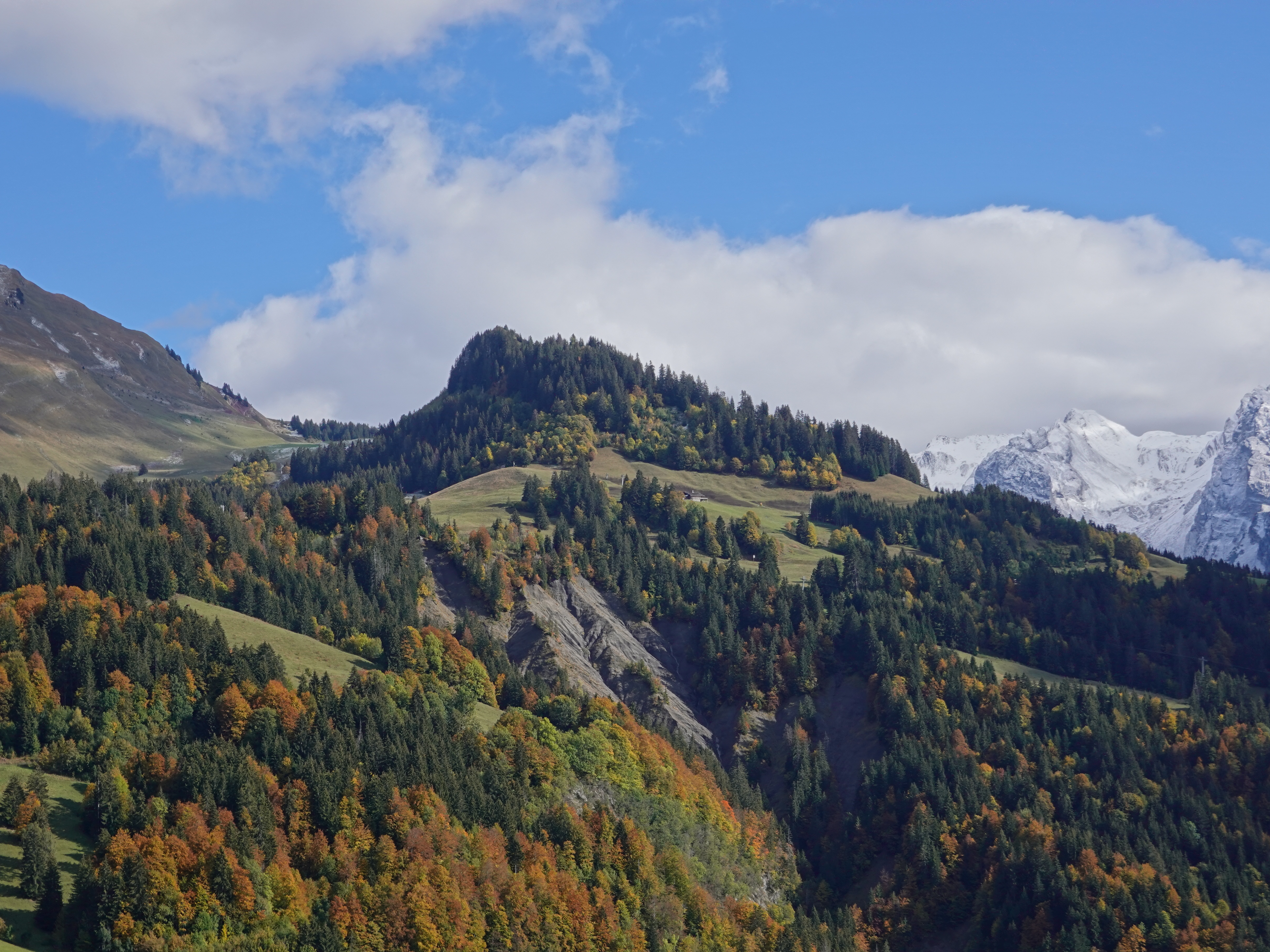 Descarga gratis la imagen Naturaleza, Árboles, Montañas, Nieve, Paisaje en el escritorio de tu PC