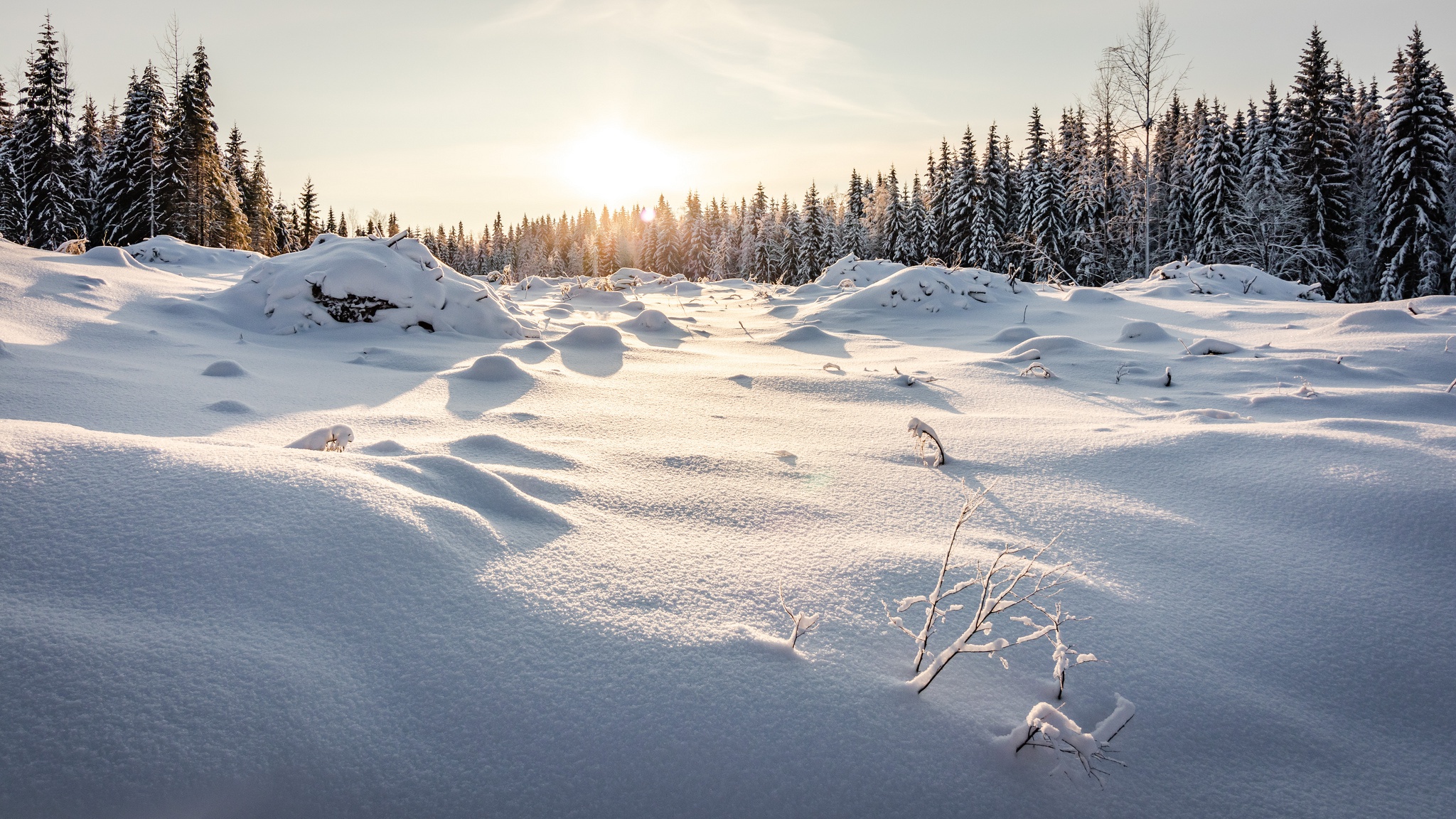 Скачать обои бесплатно Зима, Природа, Снег, Земля/природа картинка на рабочий стол ПК