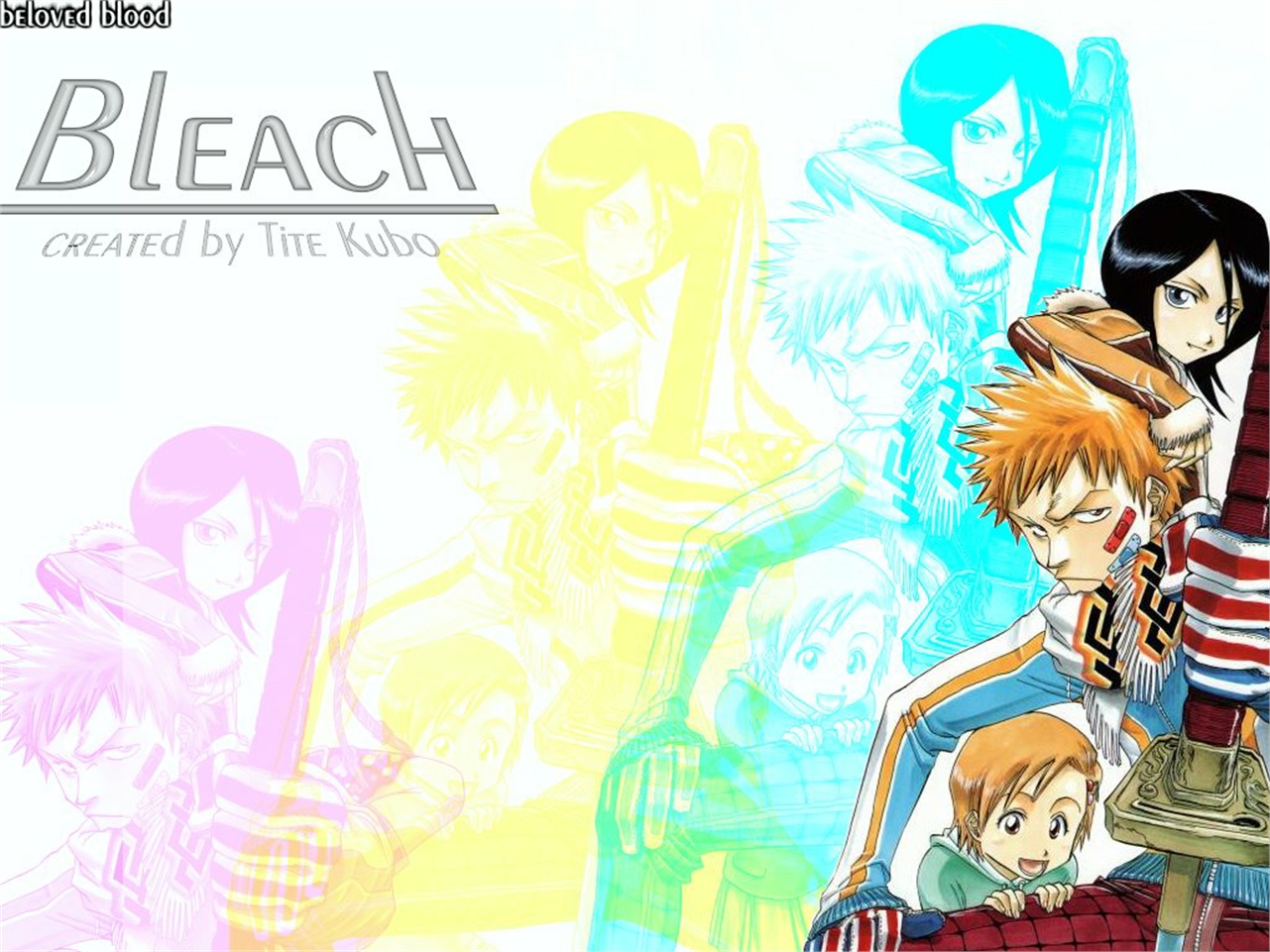 Free download wallpaper Anime, Bleach, Rukia Kuchiki, Ichigo Kurosaki on your PC desktop