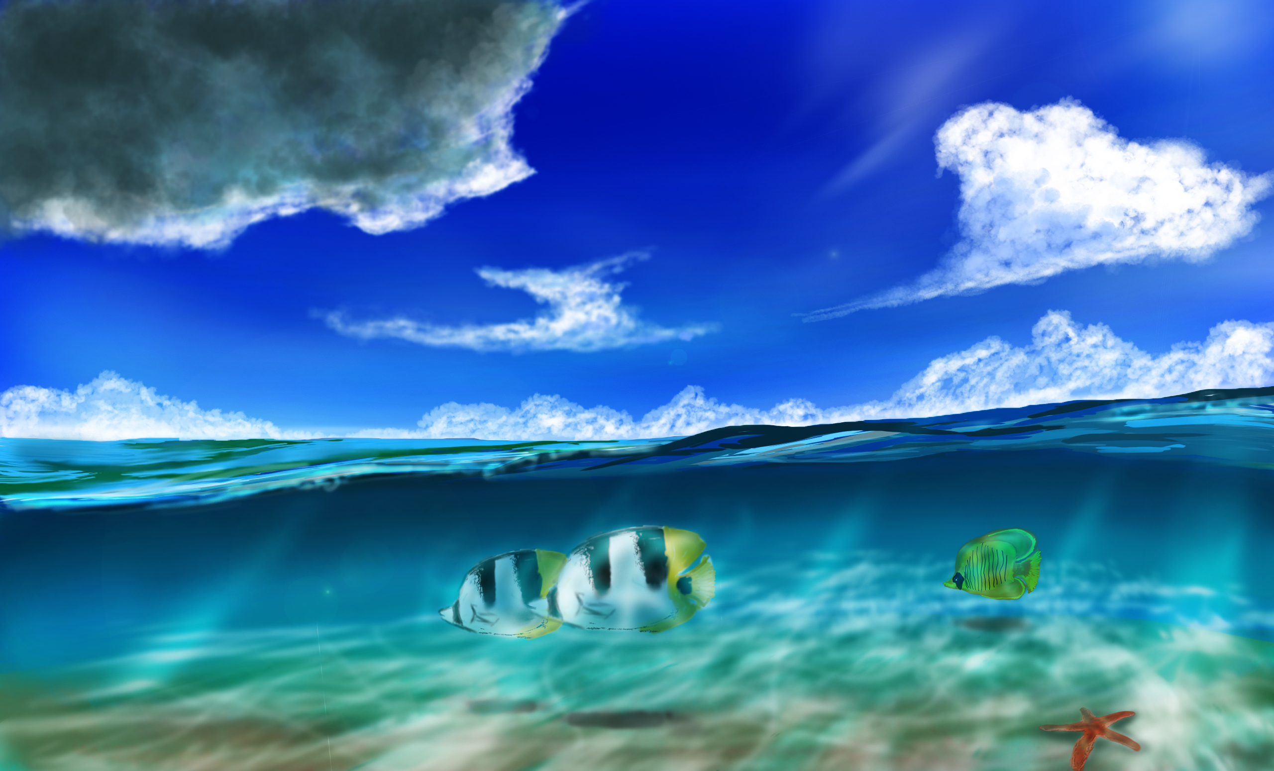 Free download wallpaper Sea, Fishes, Animal, Fish on your PC desktop
