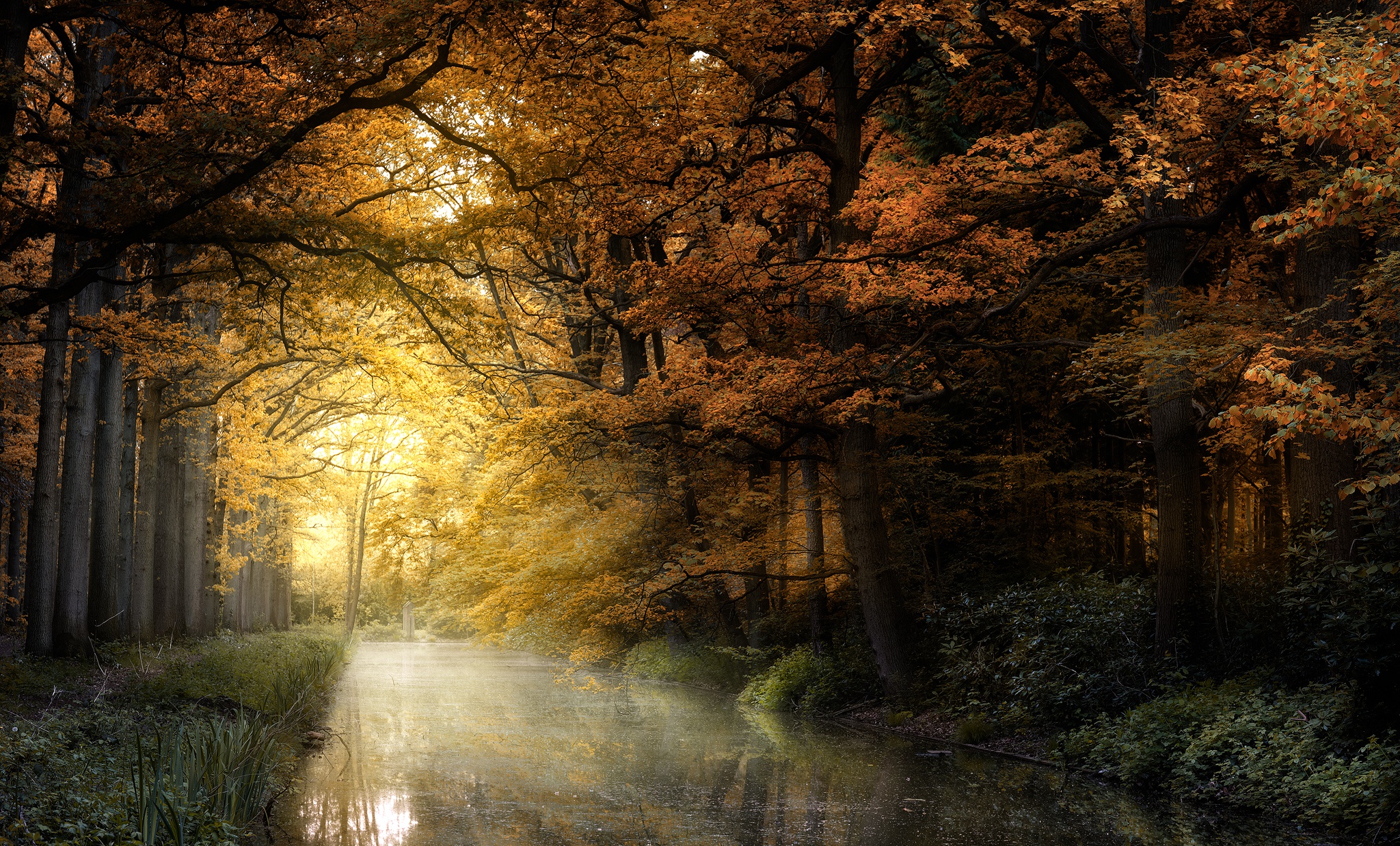 Handy-Wallpaper Natur, Herbst, Wald, Fluss, Erde/natur kostenlos herunterladen.