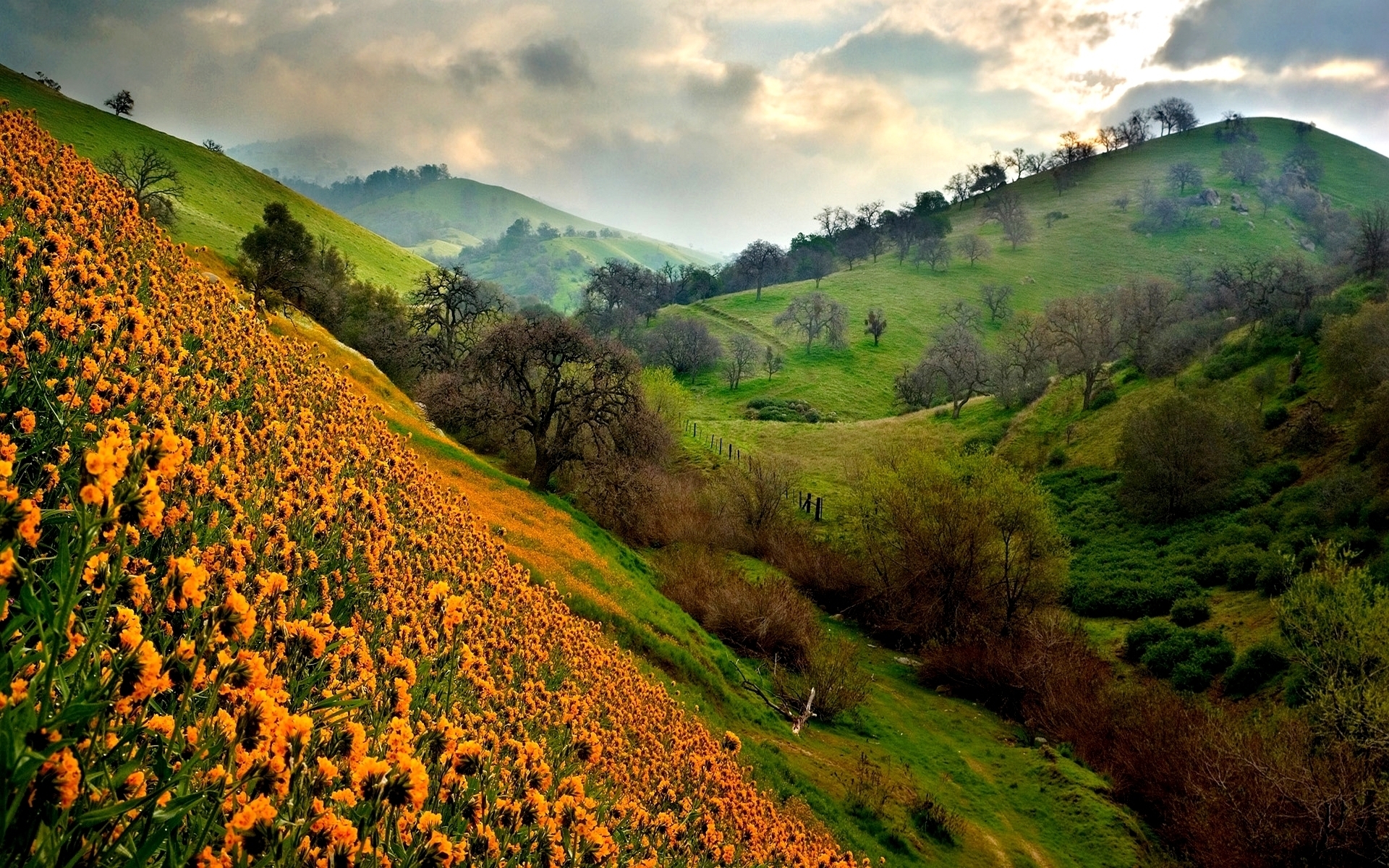 Descarga gratis la imagen Paisaje, Tierra/naturaleza en el escritorio de tu PC