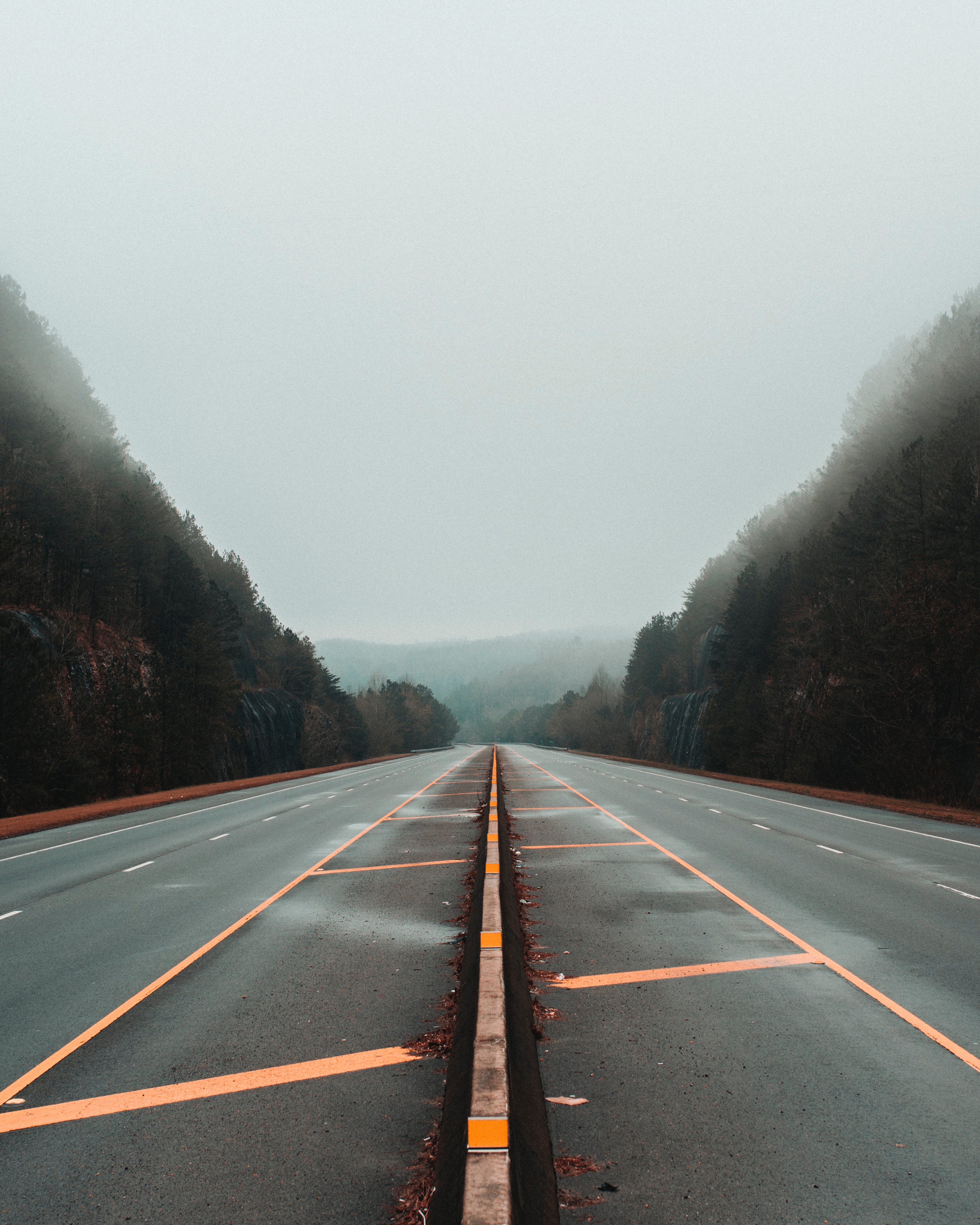 Download background road, nature, trees, markup, fog, lines