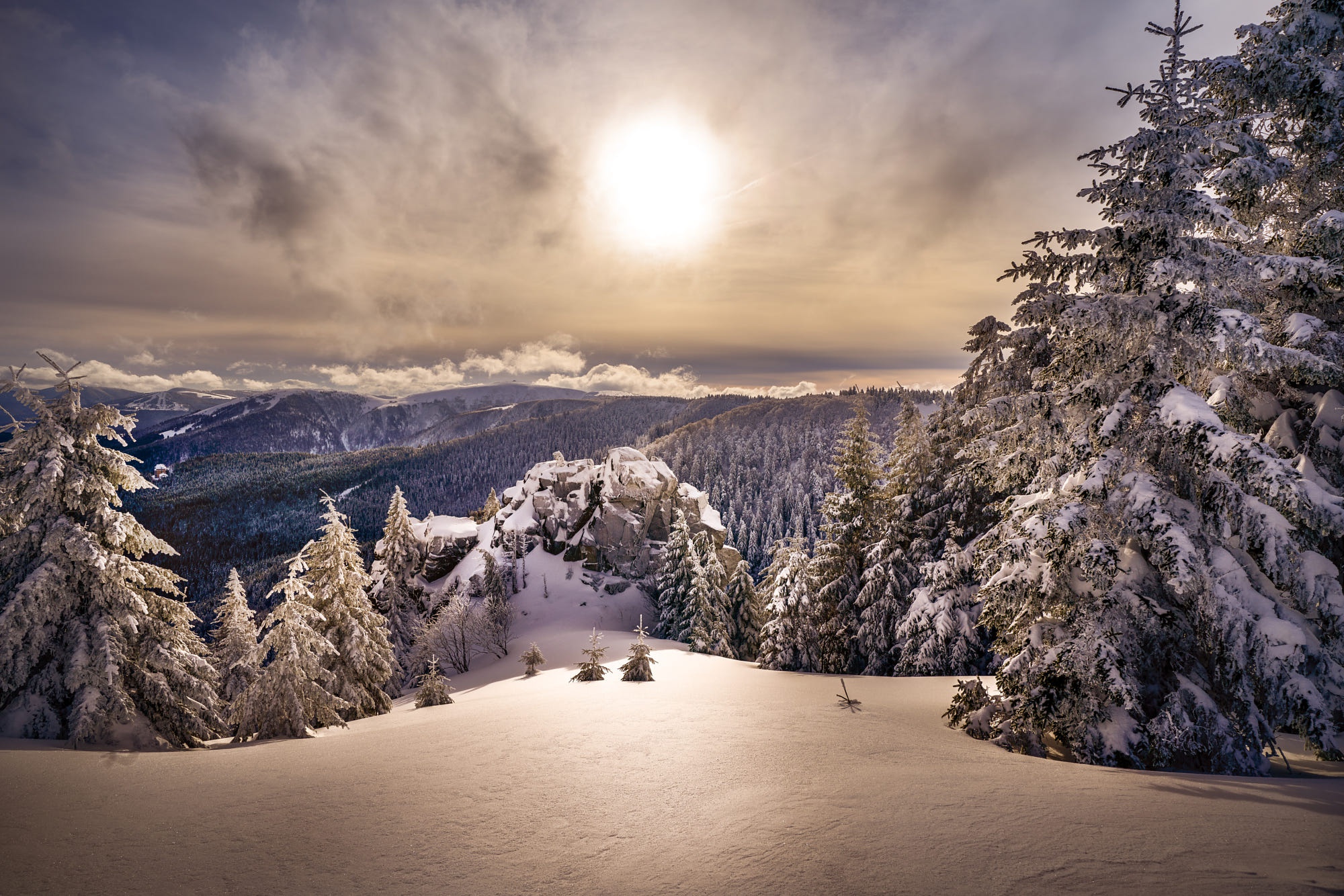 Download mobile wallpaper Winter, Nature, Sun, Snow, Earth, Spruce for free.