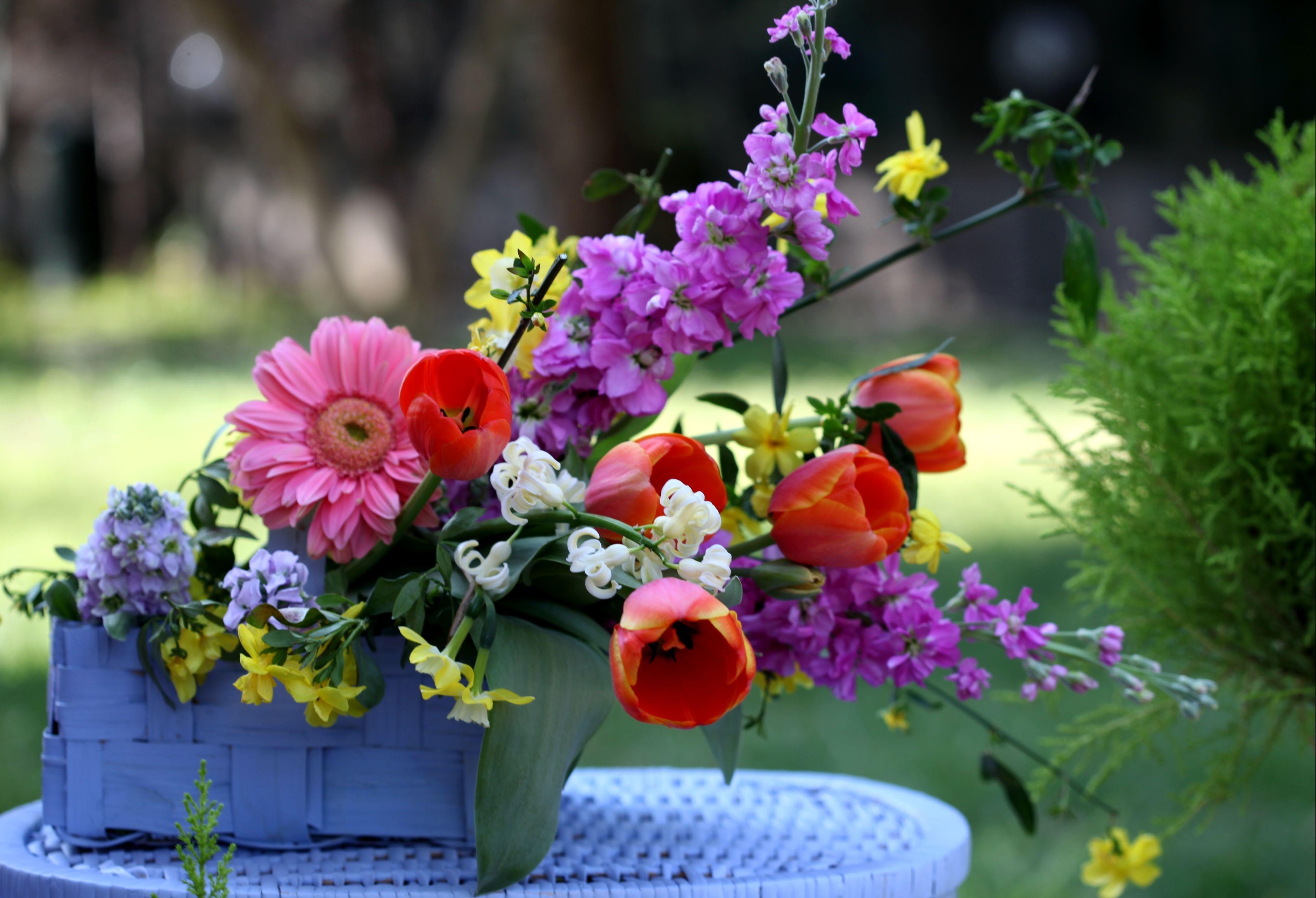 tulips, flowers, gerberas, basket, composition, levkoy, gillyflower