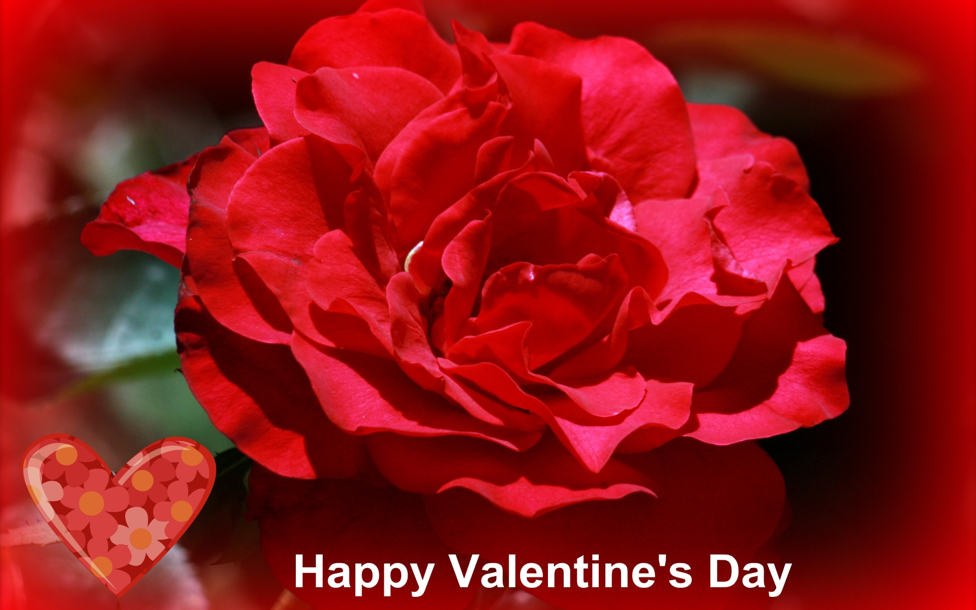 Descarga gratuita de fondo de pantalla para móvil de Día De San Valentín, Día Festivo.