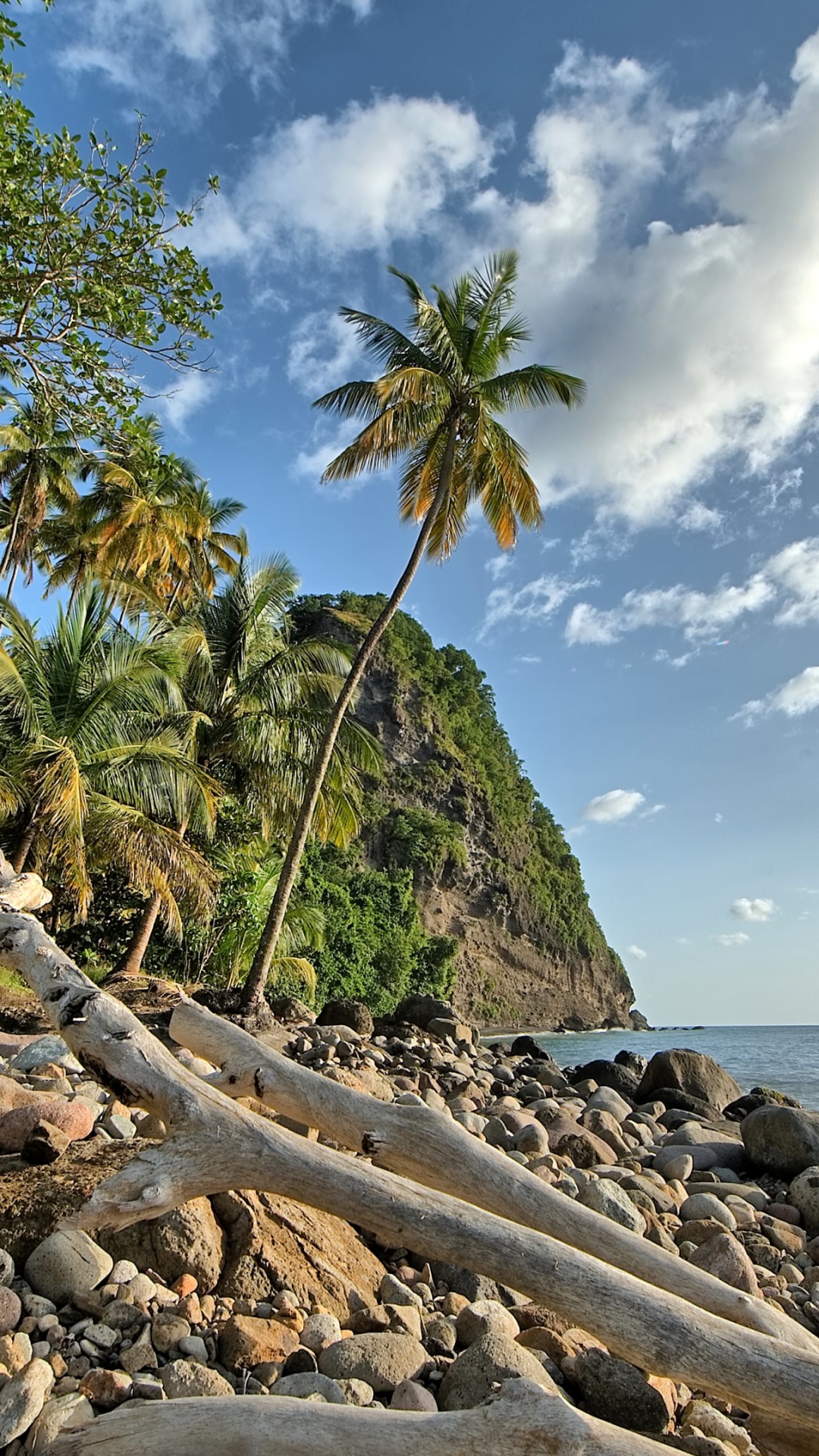 1309787 économiseurs d'écran et fonds d'écran Plage sur votre téléphone. Téléchargez  images gratuitement